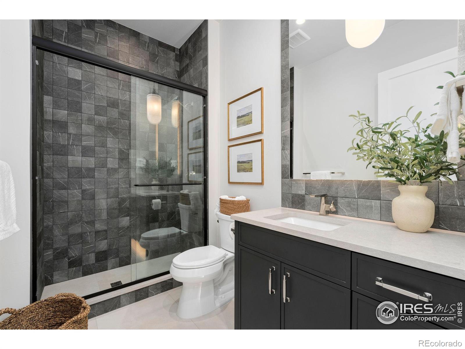 MLS Image #21 for 6408  foundry court,timnath, Colorado