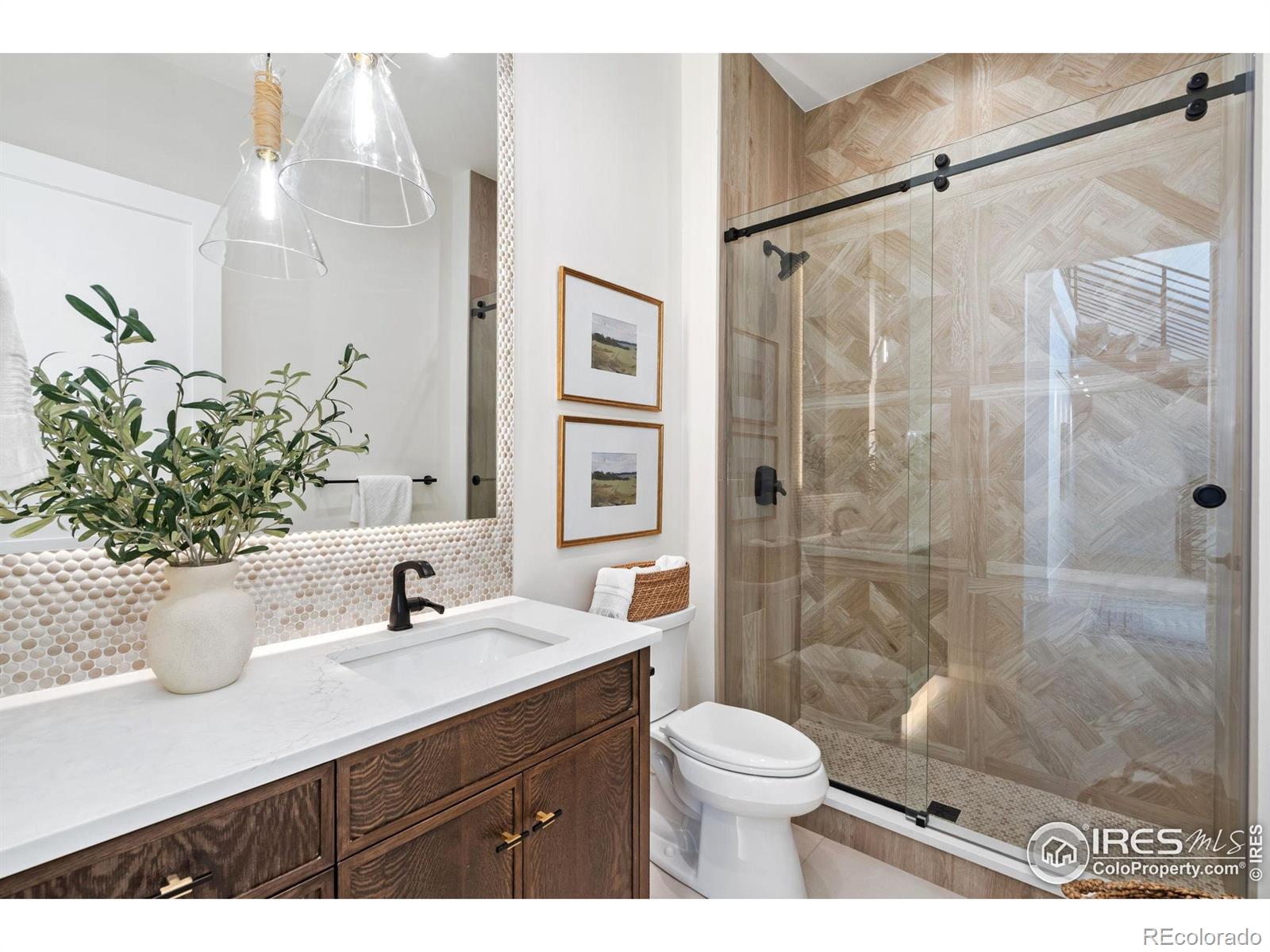 MLS Image #21 for 6398  foundry court,timnath, Colorado