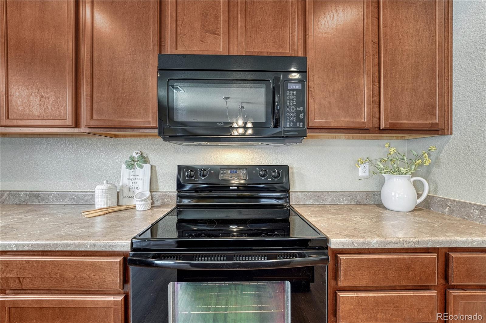 MLS Image #14 for 11565  hibiscus lane,colorado springs, Colorado