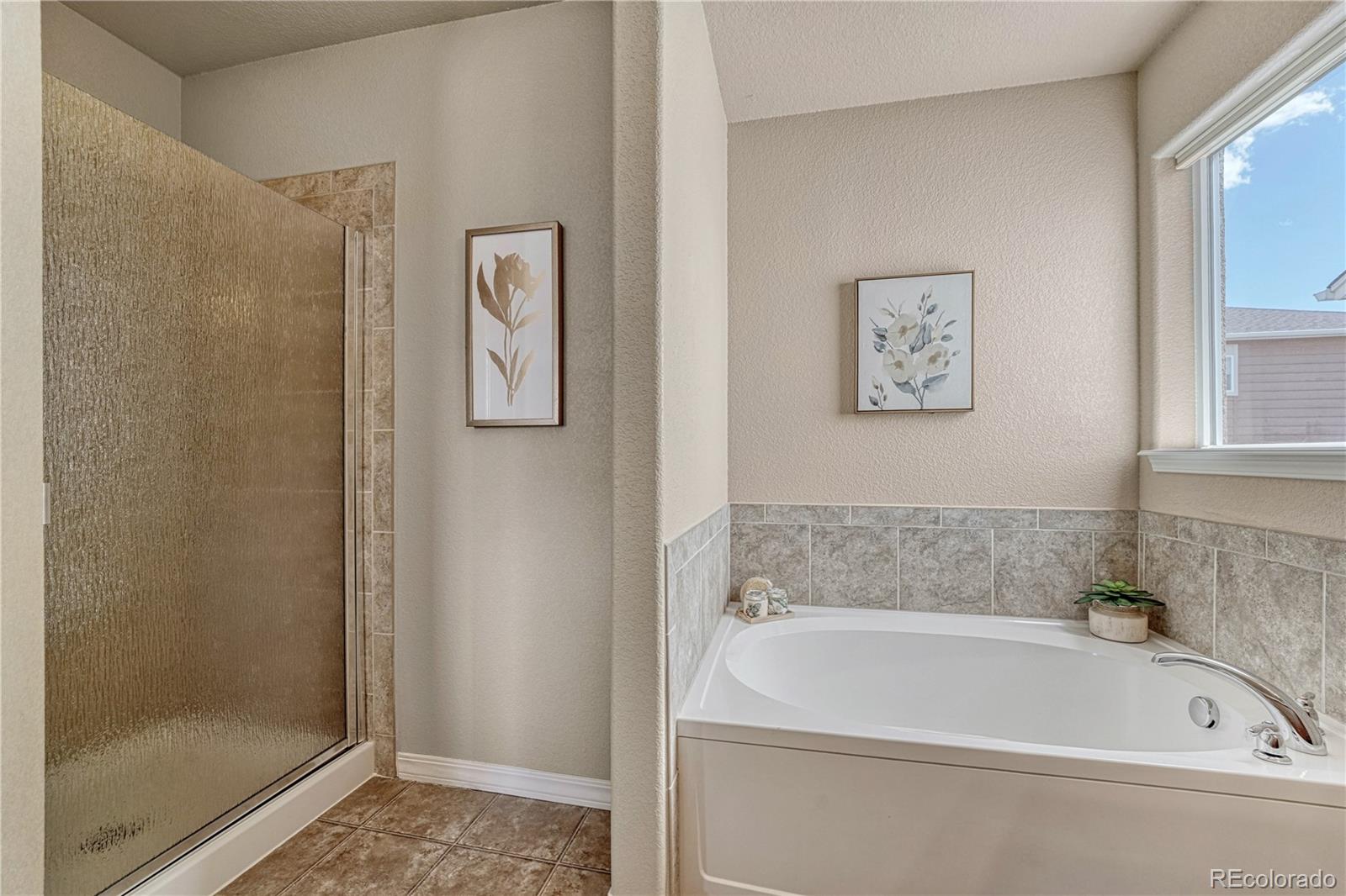 MLS Image #26 for 11565  hibiscus lane,colorado springs, Colorado