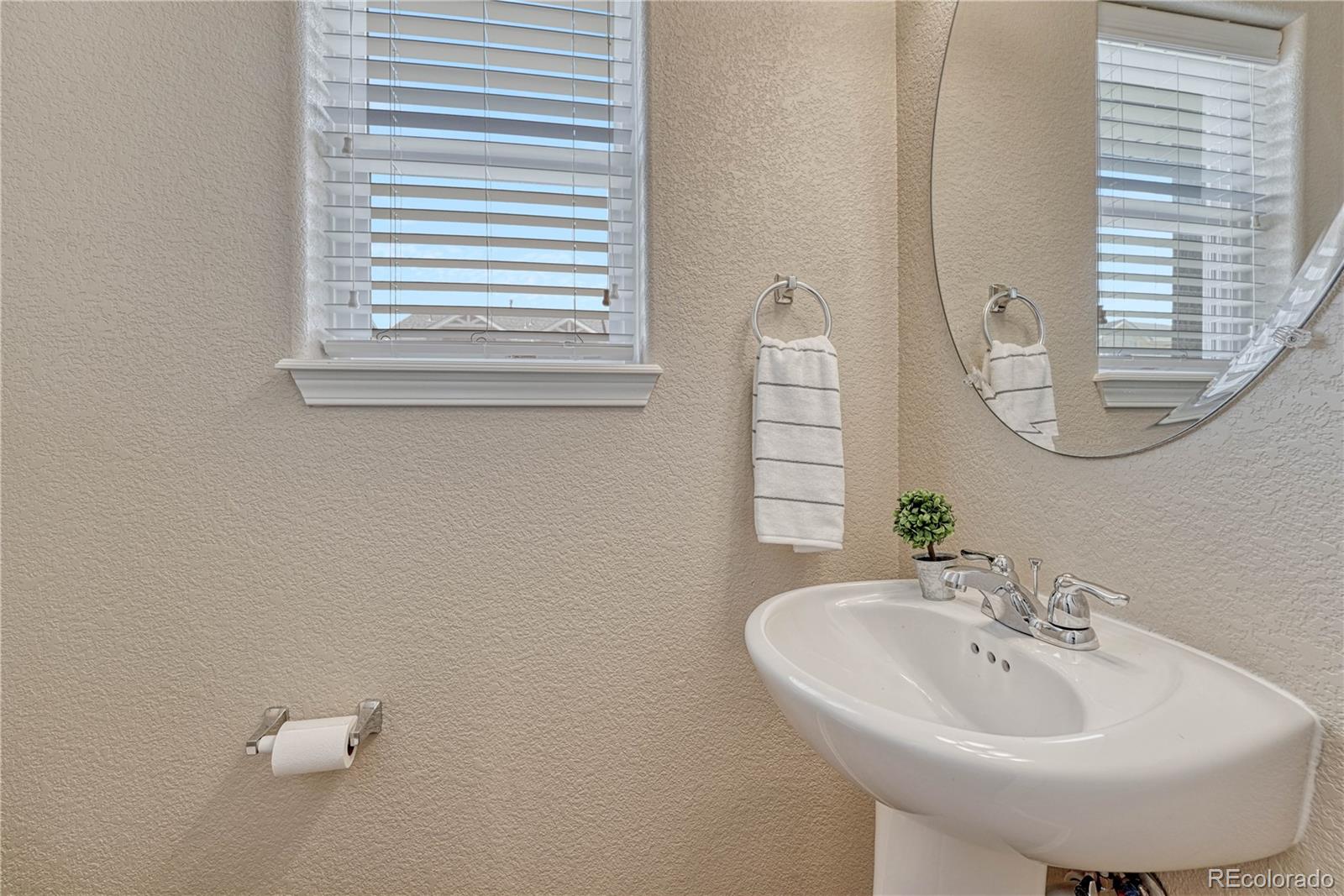 MLS Image #4 for 11565  hibiscus lane,colorado springs, Colorado