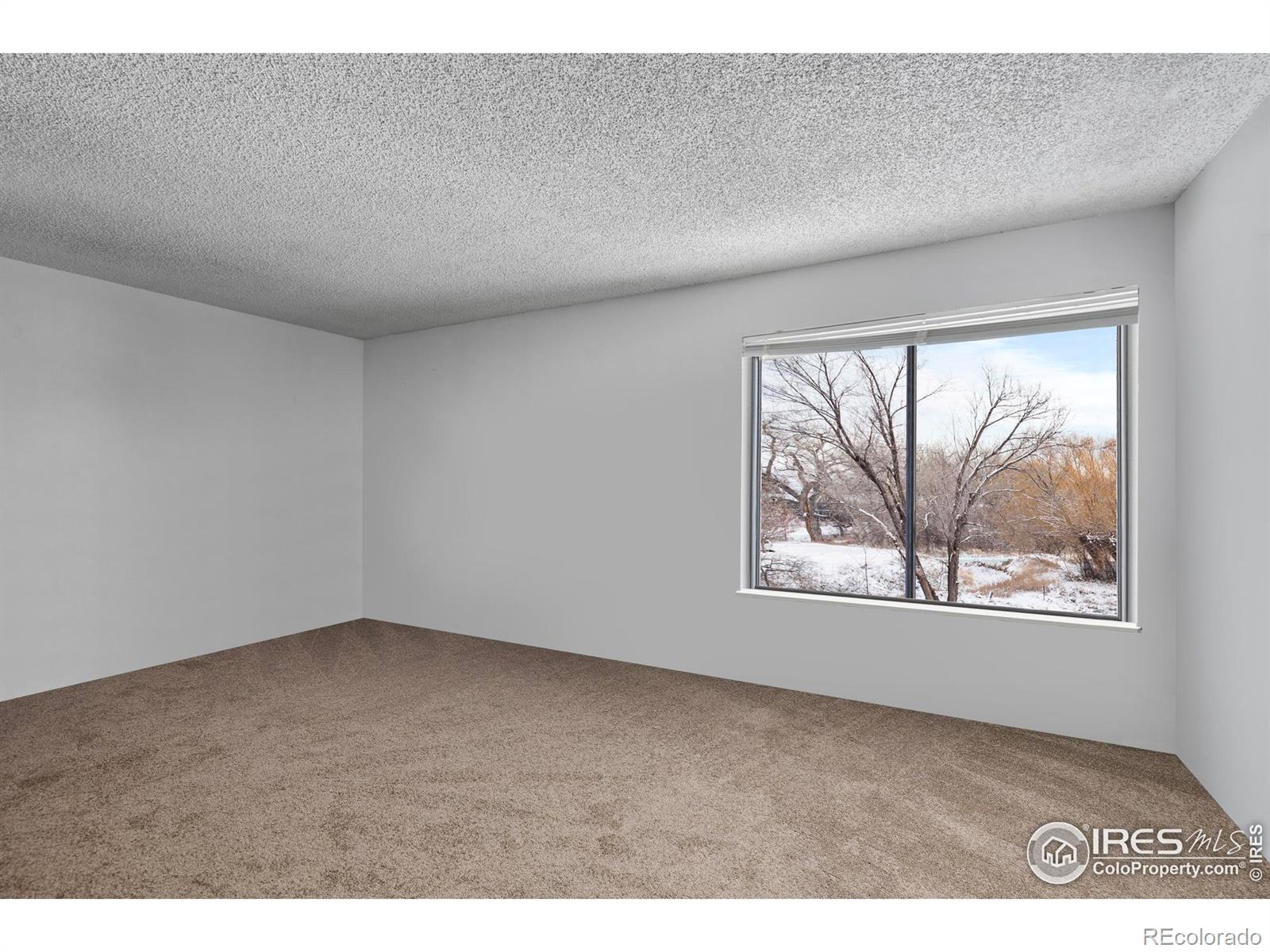 MLS Image #11 for 1705  heatheridge road,fort collins, Colorado