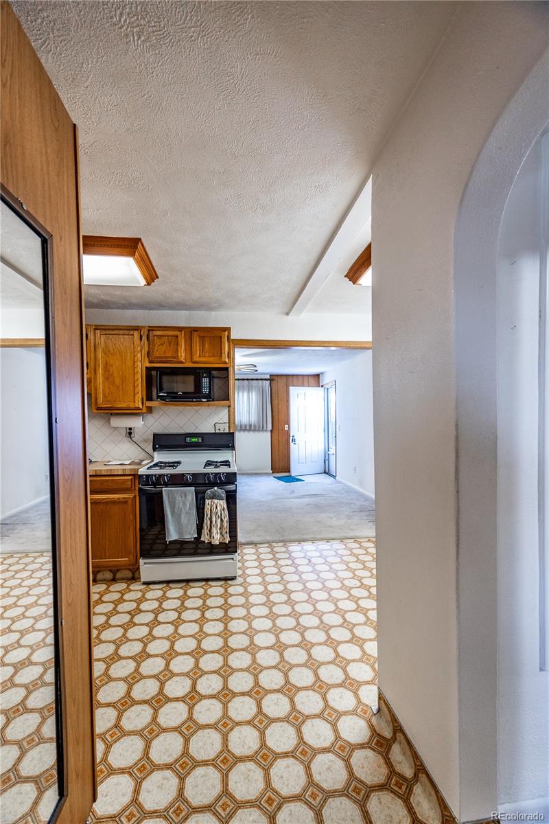 MLS Image #10 for 254  donna street,fort lupton, Colorado