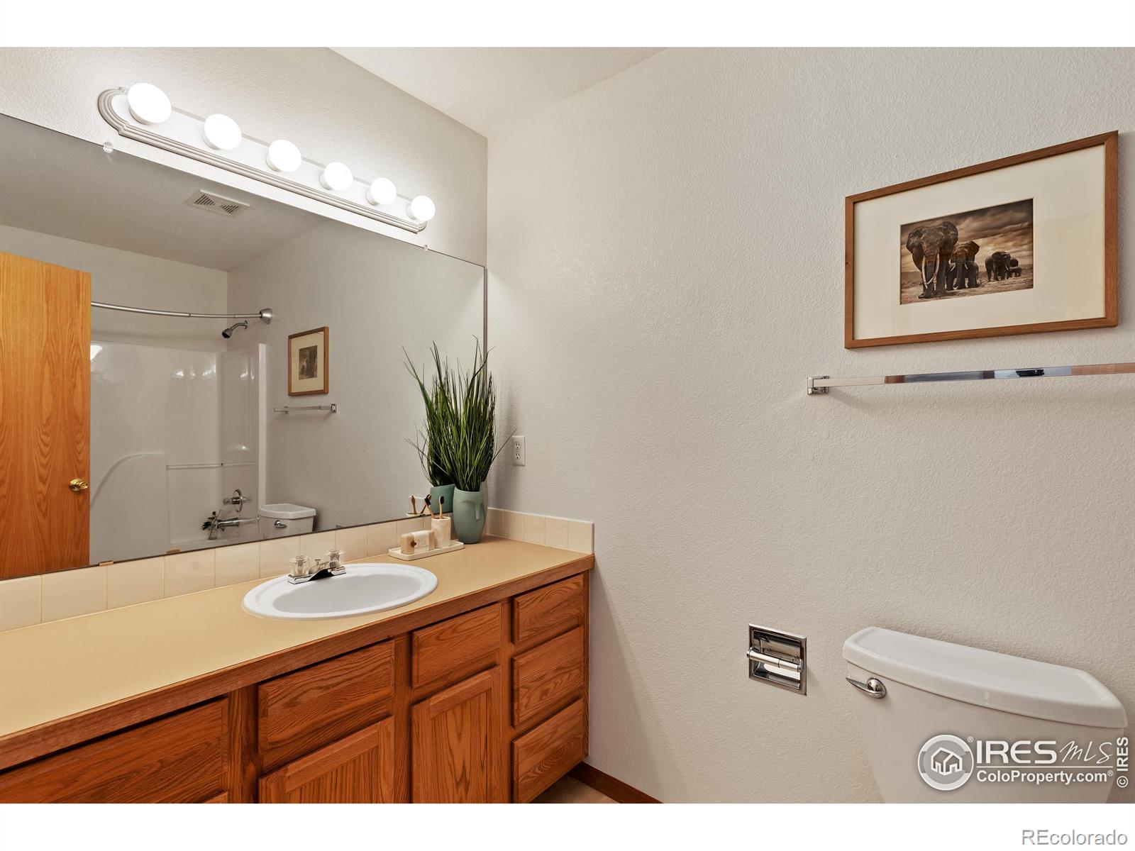 MLS Image #19 for 603  aviara street,johnstown, Colorado
