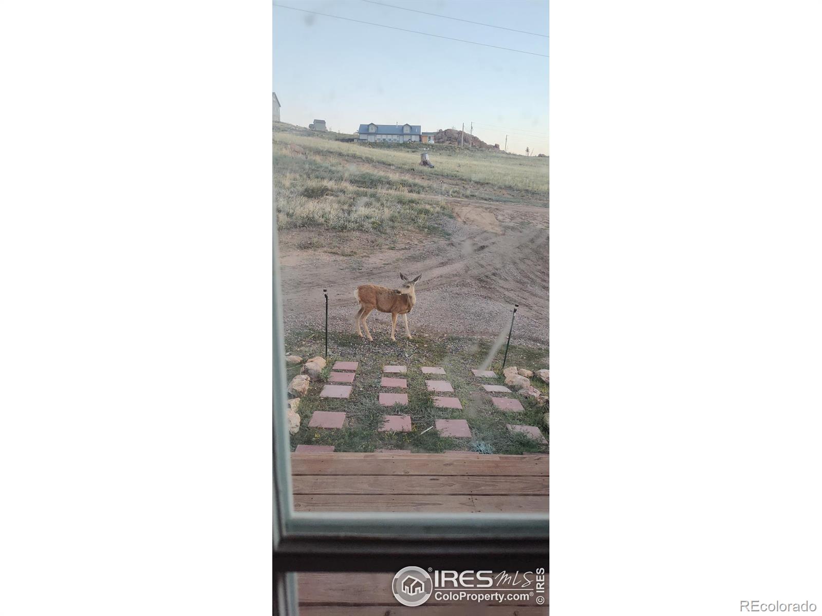 MLS Image #32 for 37  rabbit ears court,livermore, Colorado