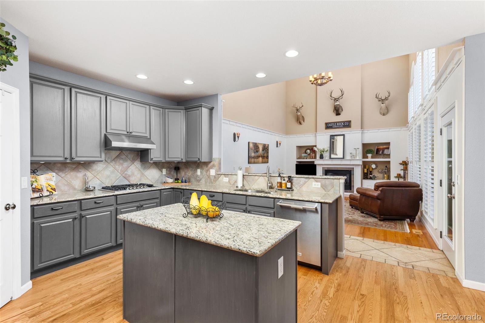 MLS Image #13 for 6258  lancaster avenue,castle rock, Colorado
