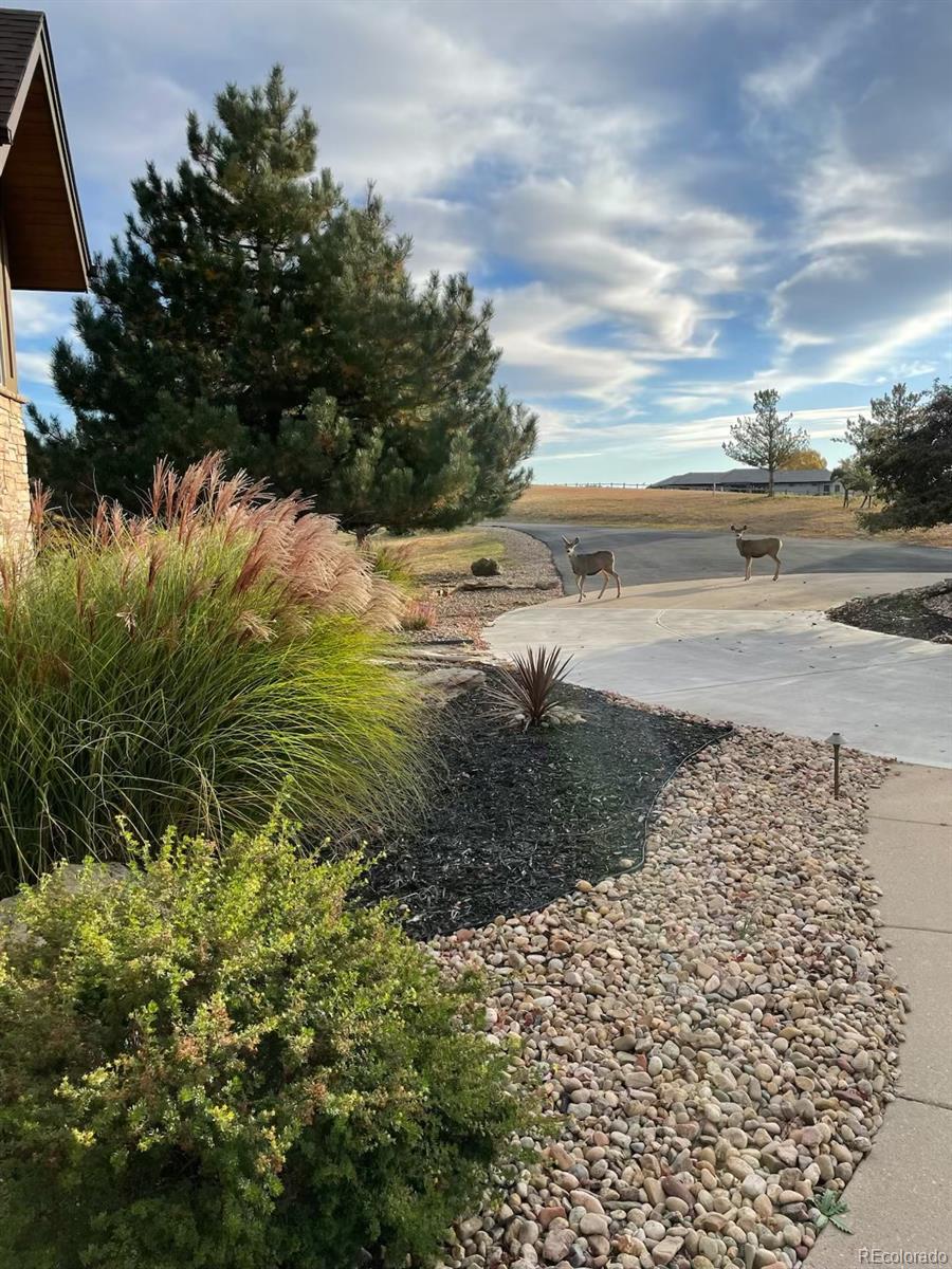MLS Image #41 for 2430  marlin way,castle rock, Colorado