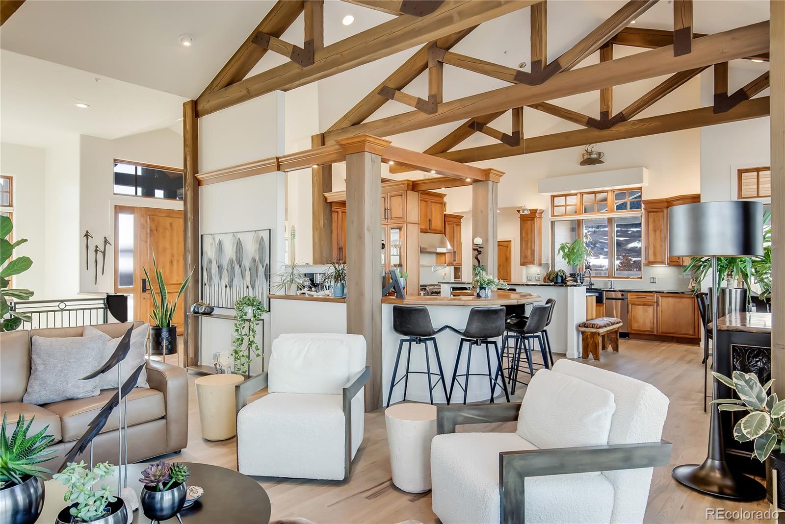 MLS Image #7 for 2430  marlin way,castle rock, Colorado