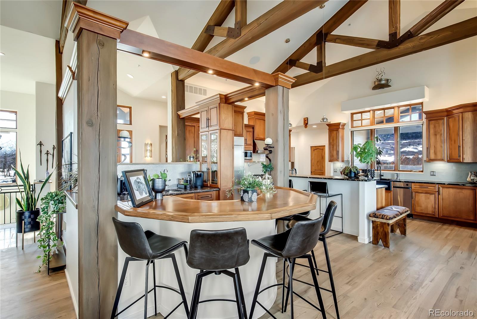 MLS Image #9 for 2430  marlin way,castle rock, Colorado