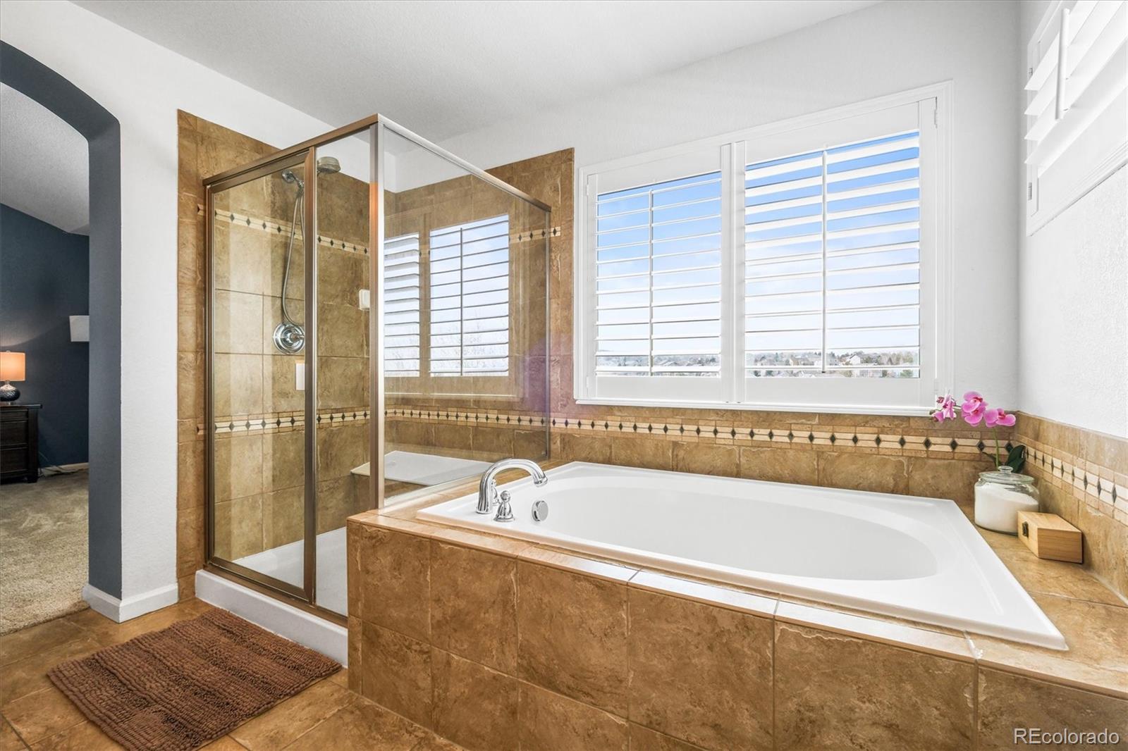 MLS Image #27 for 743  briar haven drive,castle pines, Colorado