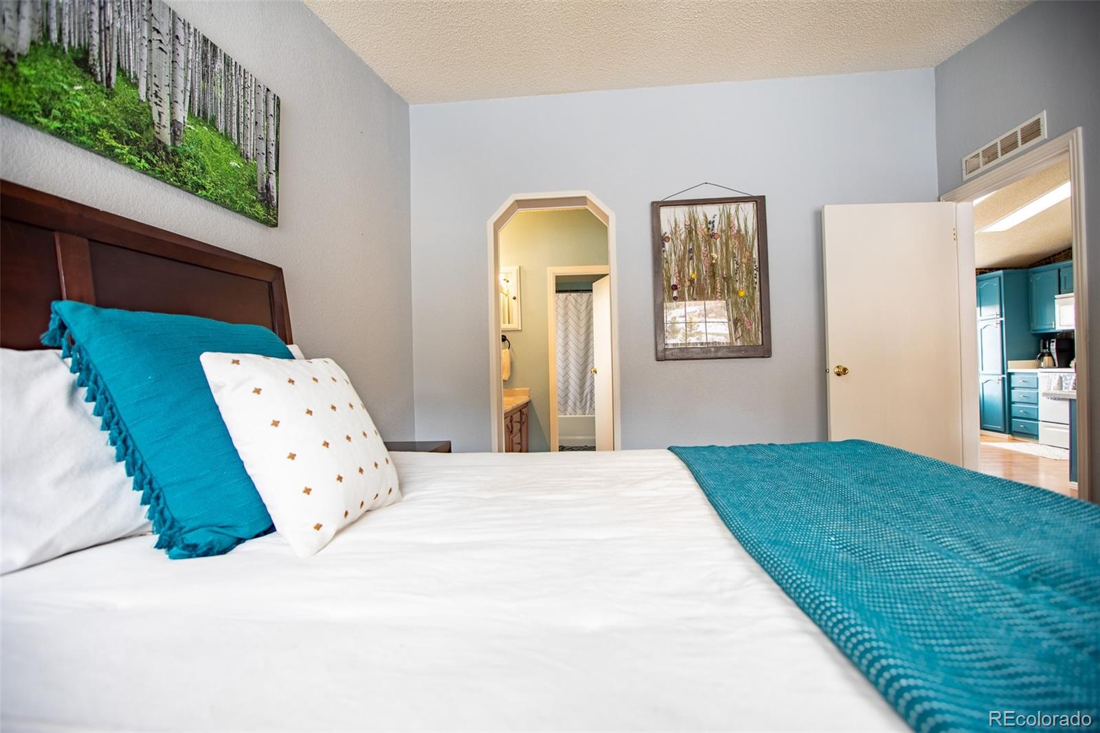 MLS Image #15 for 653  bonell drive,fairplay, Colorado