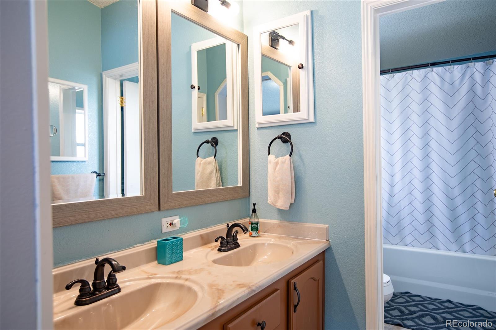 MLS Image #16 for 653  bonell drive,fairplay, Colorado