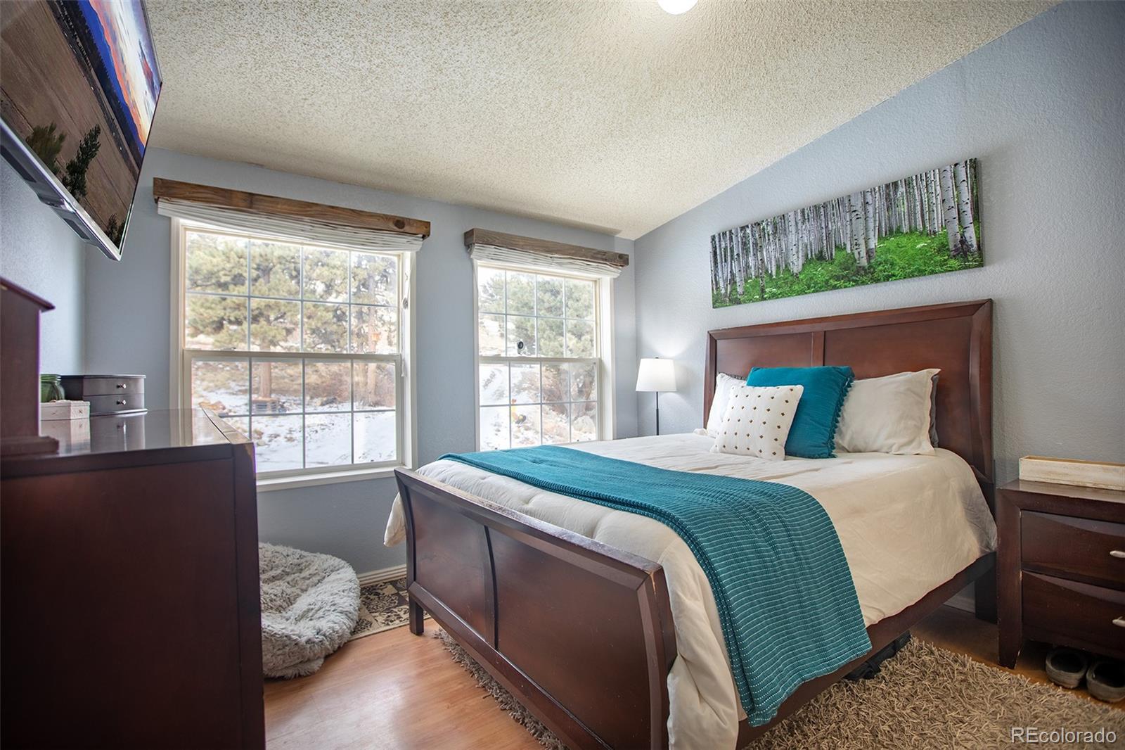 MLS Image #18 for 653  bonell drive,fairplay, Colorado