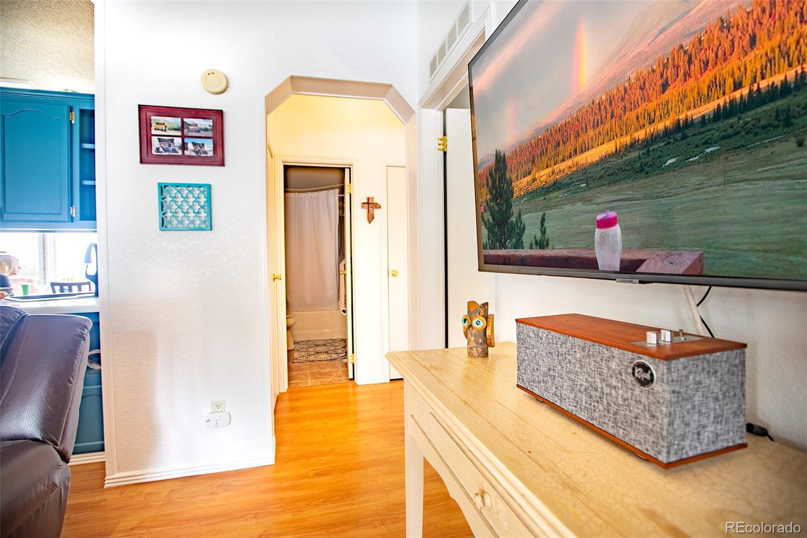 MLS Image #23 for 653  bonell drive,fairplay, Colorado