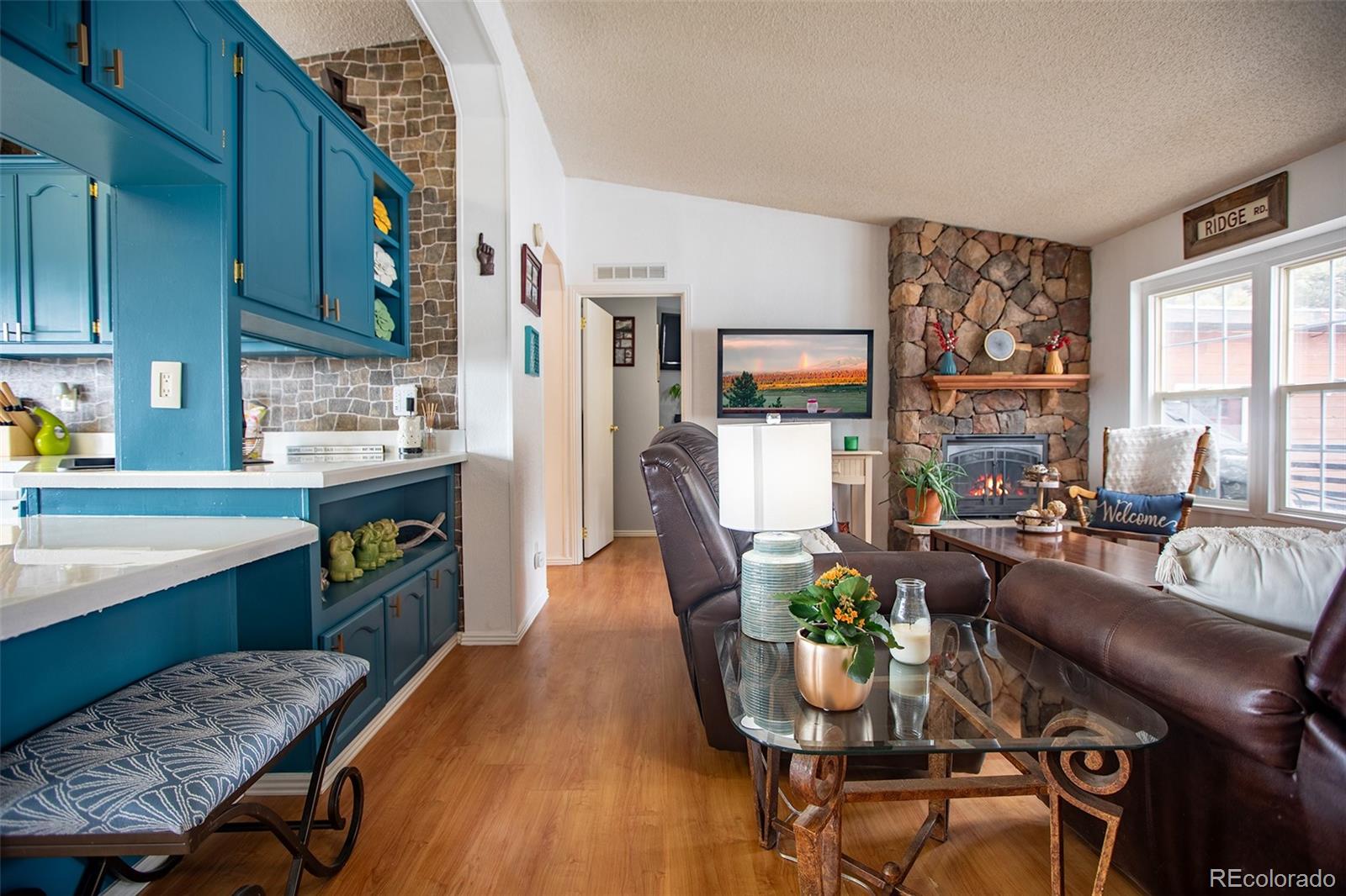 MLS Image #3 for 653  bonell drive,fairplay, Colorado