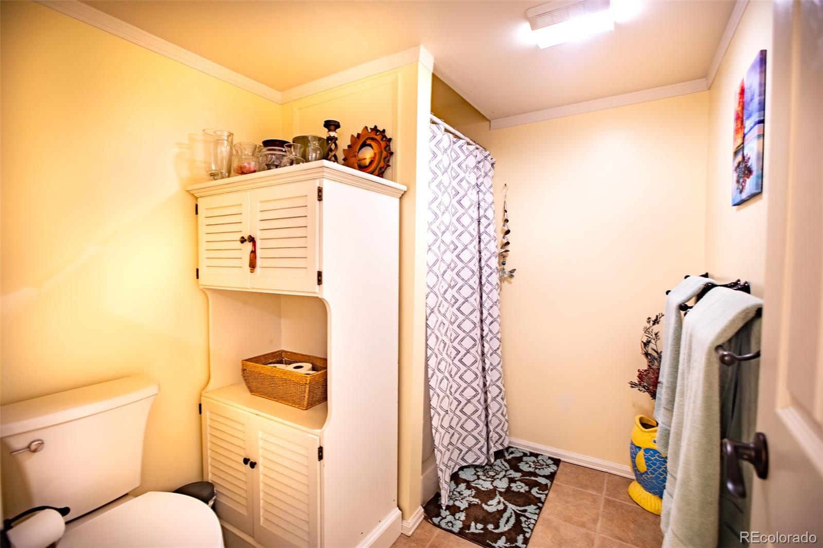 MLS Image #37 for 653  bonell drive,fairplay, Colorado