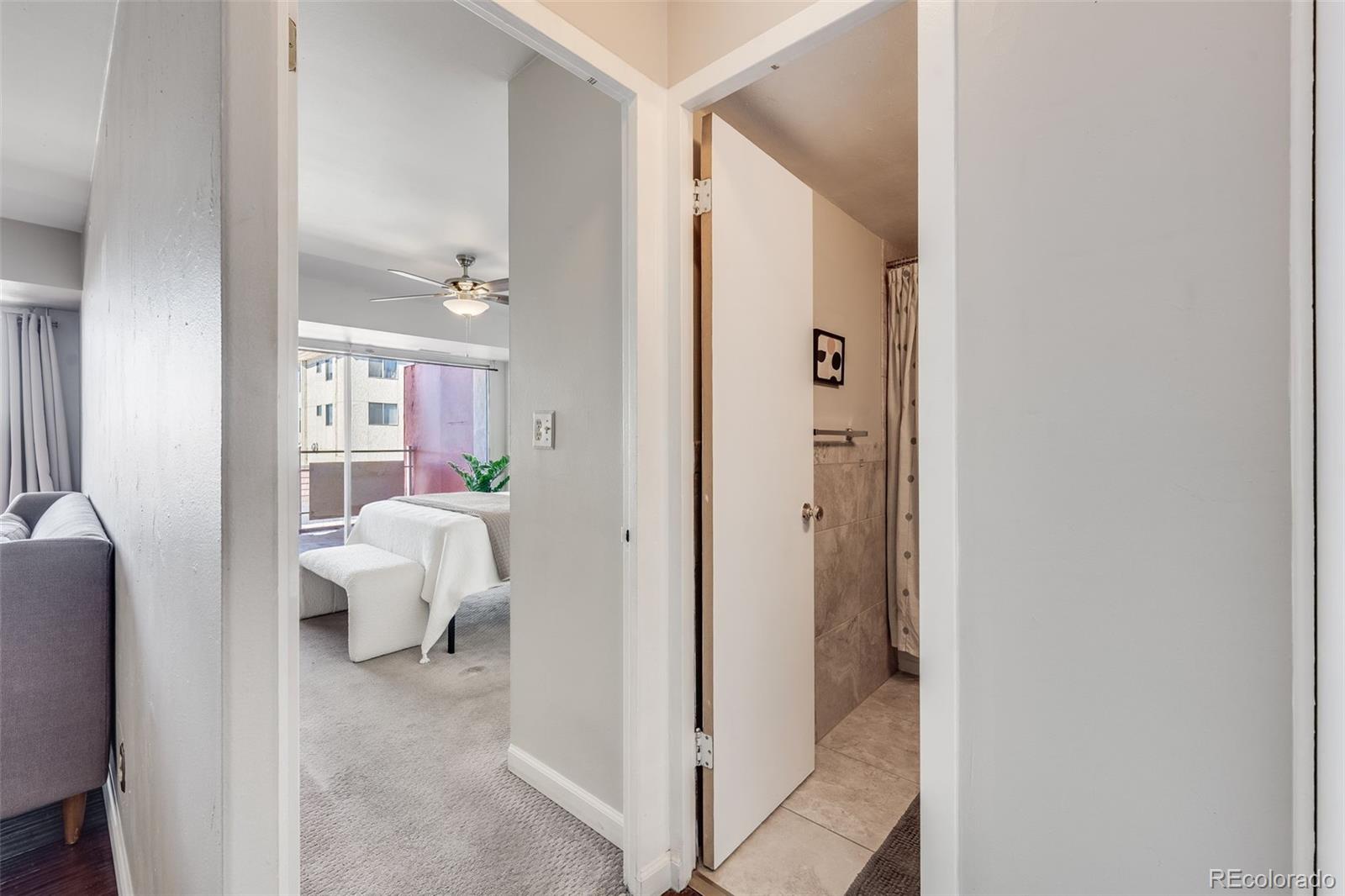 MLS Image #12 for 1121  albion street,denver, Colorado