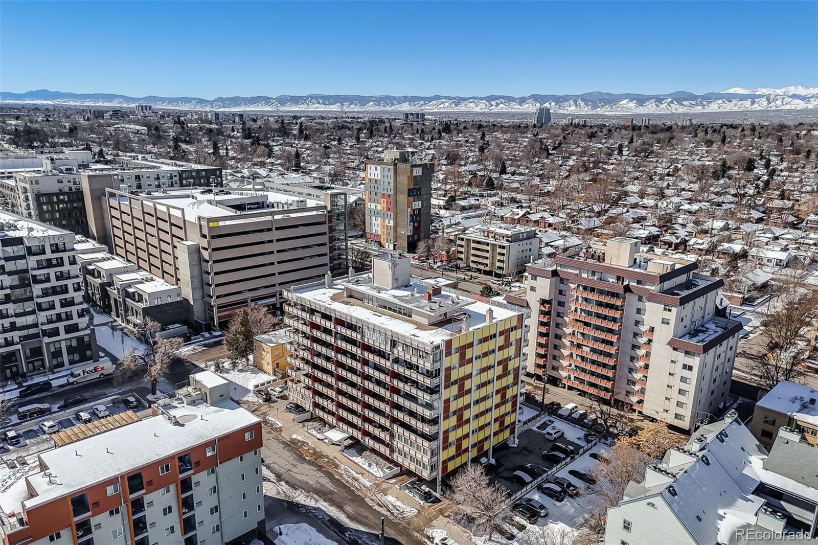 MLS Image #18 for 1121  albion street,denver, Colorado