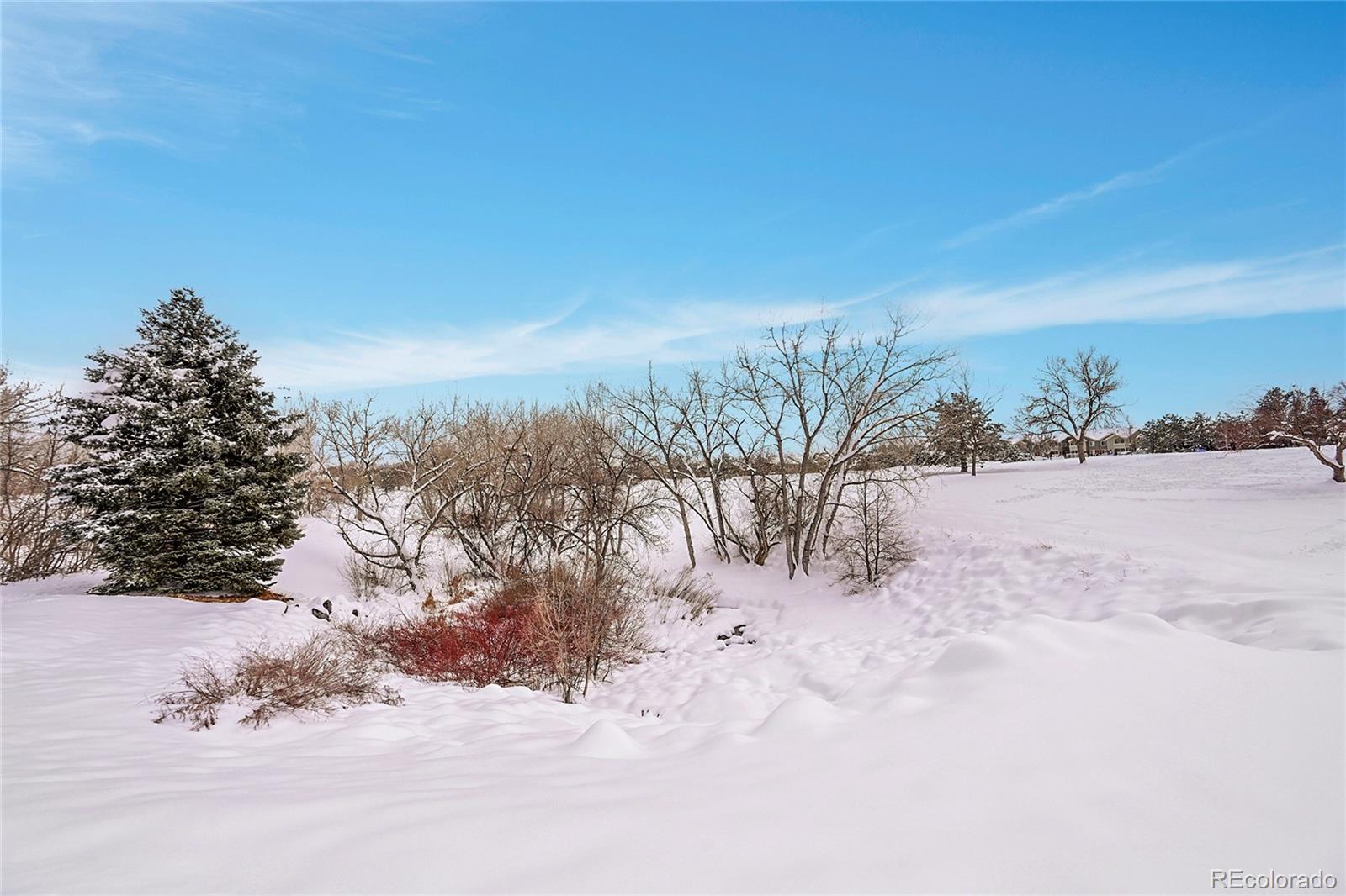 MLS Image #35 for 8655 w berry avenue,littleton, Colorado