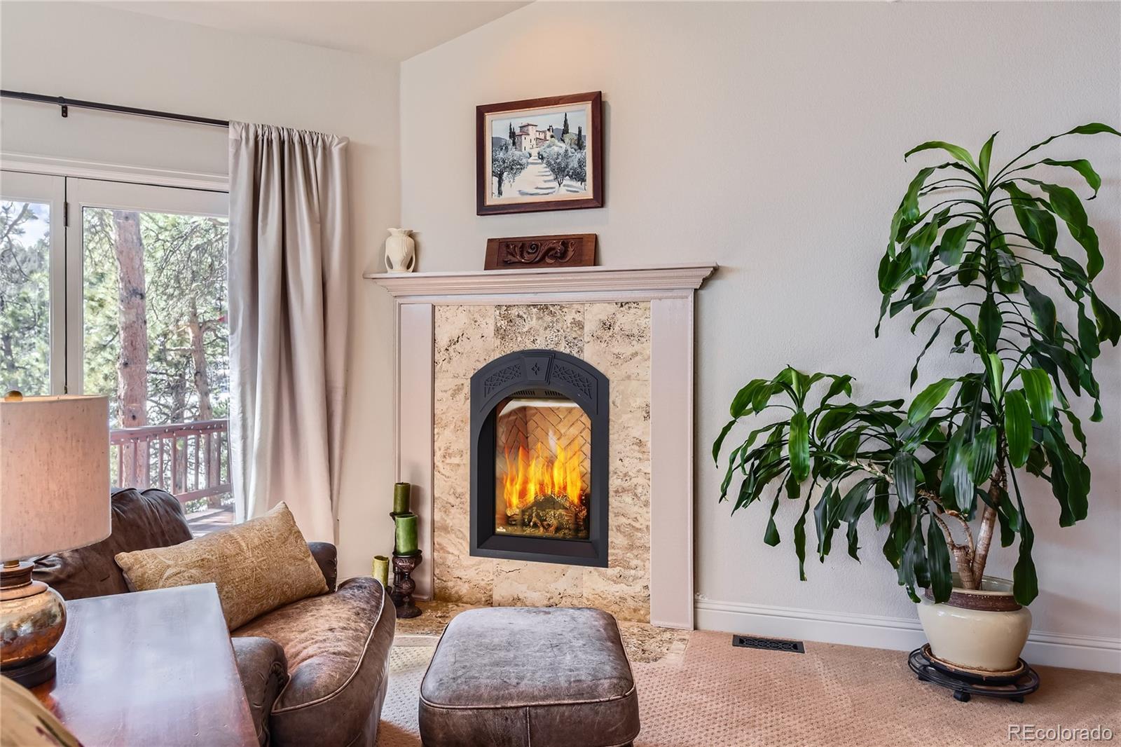 MLS Image #20 for 24860 n mountain park drive,evergreen, Colorado