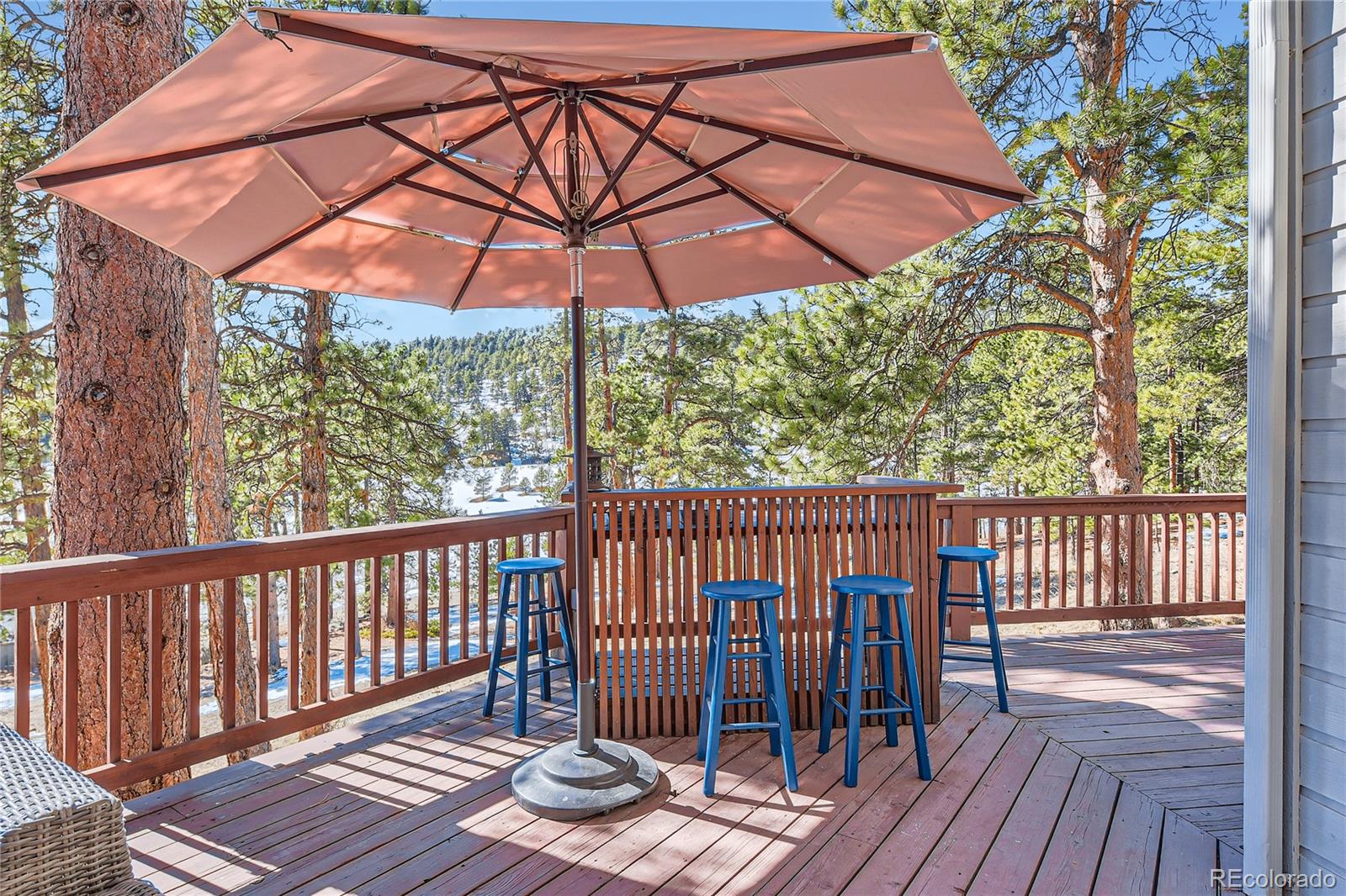 MLS Image #37 for 24860 n mountain park drive,evergreen, Colorado