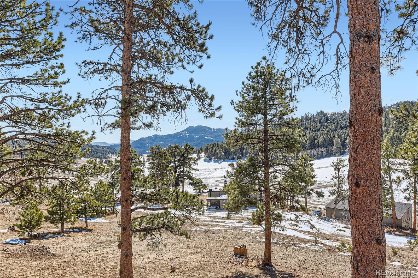 MLS Image #43 for 24860 n mountain park drive,evergreen, Colorado