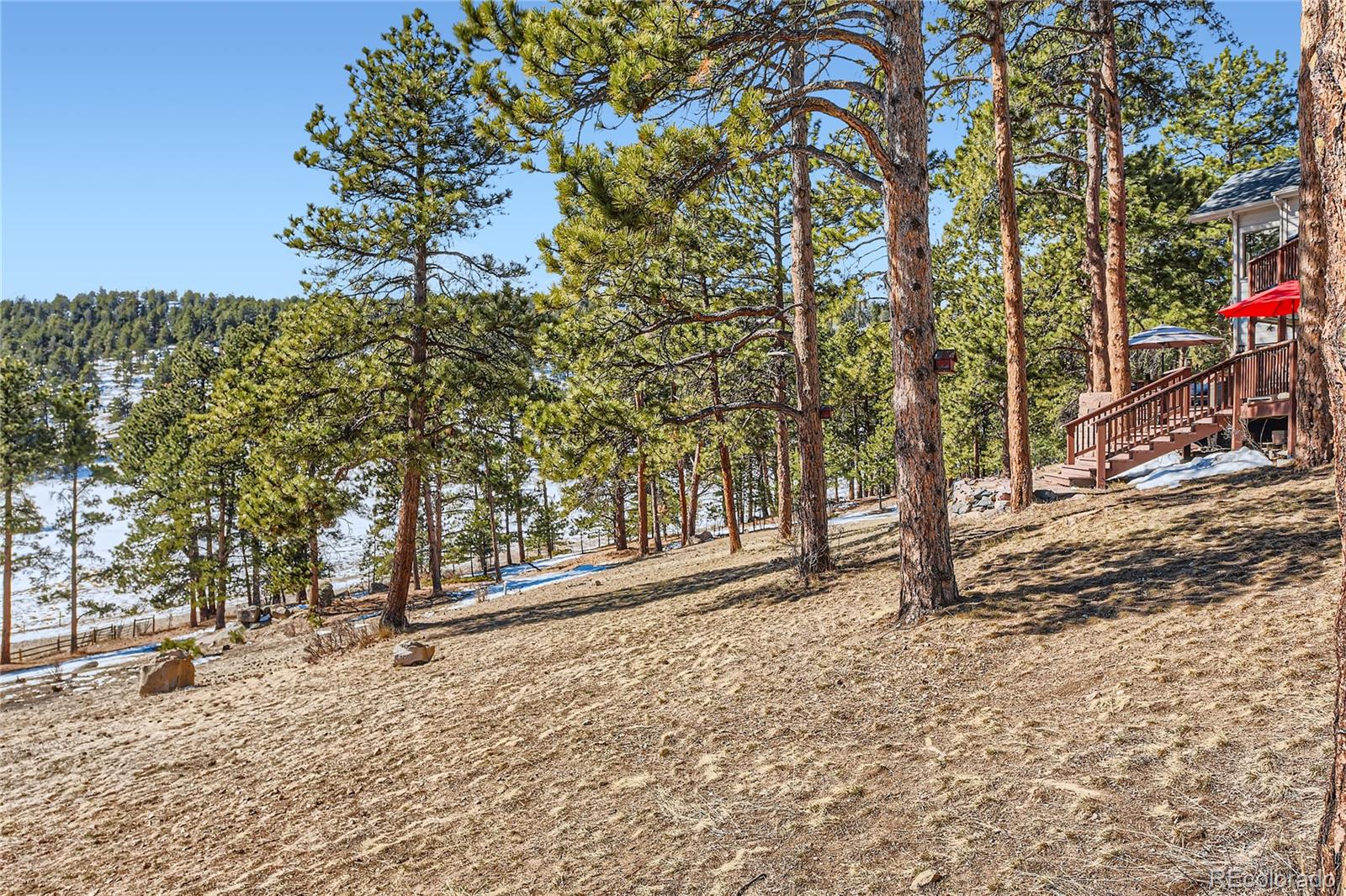 MLS Image #44 for 24860 n mountain park drive,evergreen, Colorado