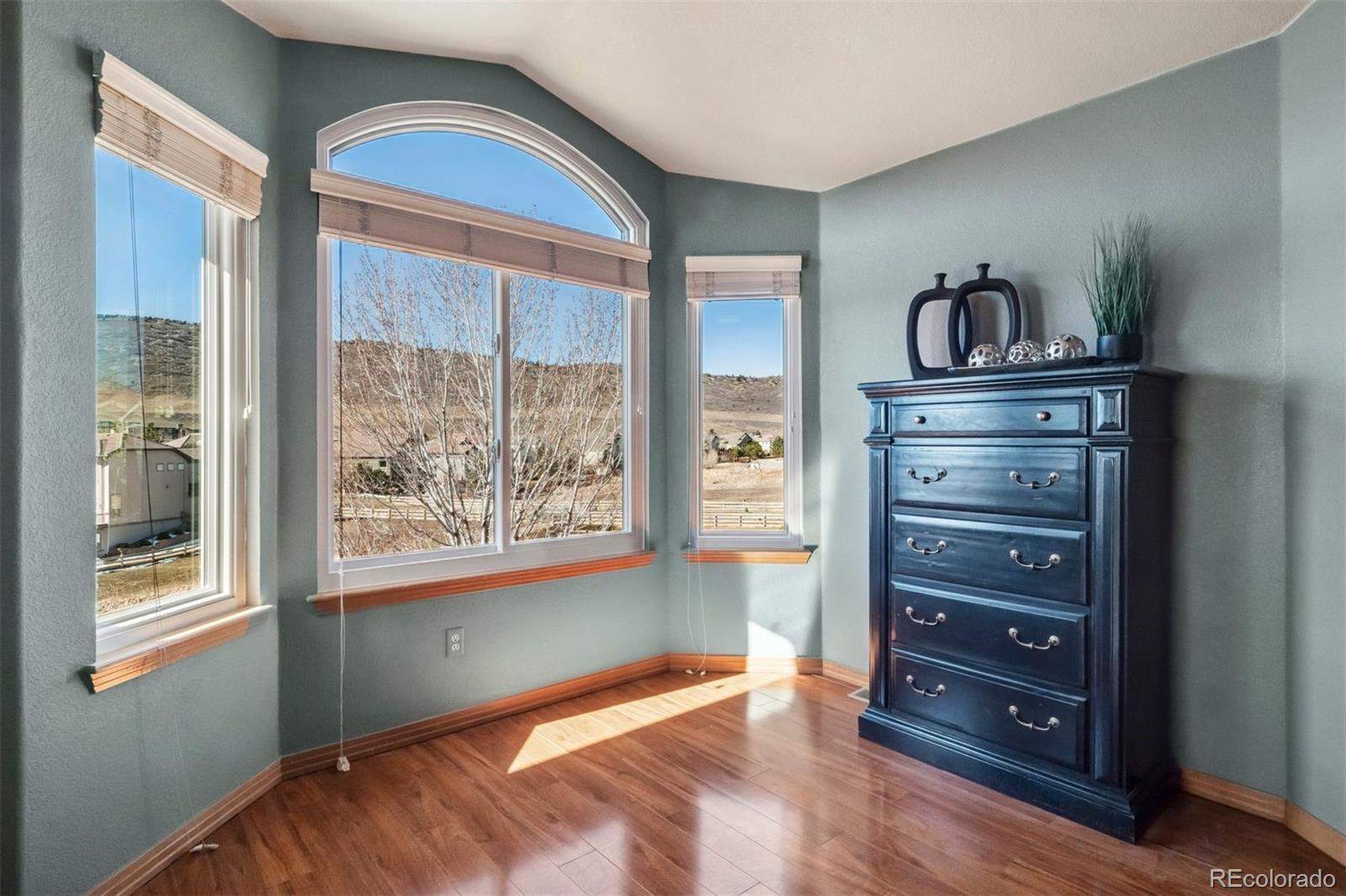 MLS Image #20 for 8493 s newcombe way,littleton, Colorado
