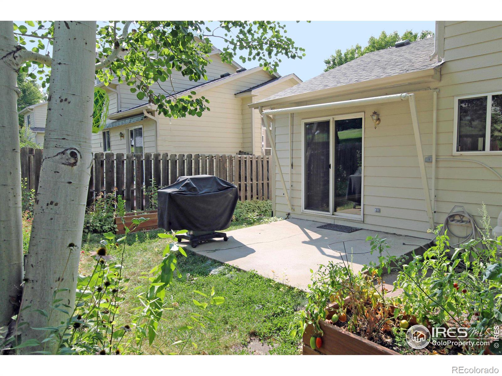 MLS Image #8 for 924  parker drive,longmont, Colorado