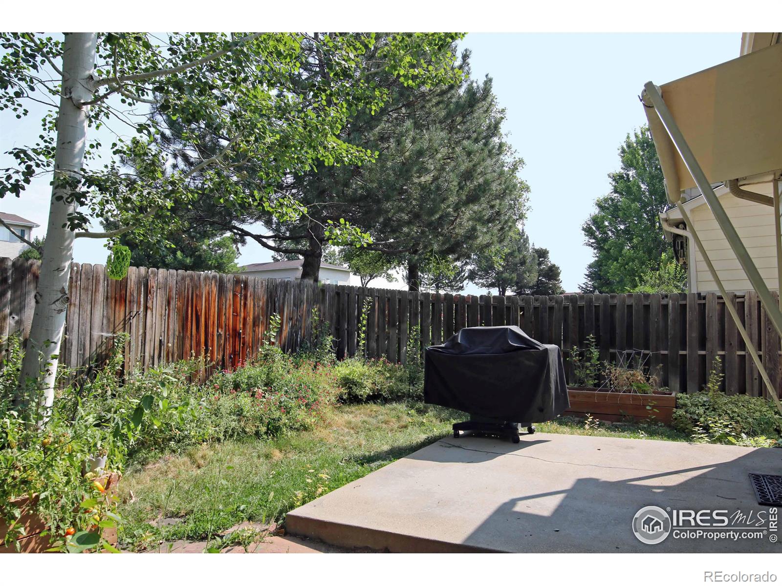 MLS Image #9 for 924  parker drive,longmont, Colorado