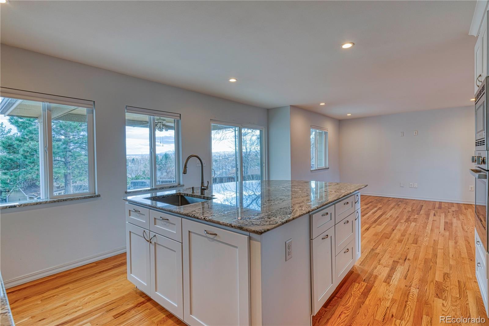MLS Image #7 for 6812  blue jay drive,parker, Colorado