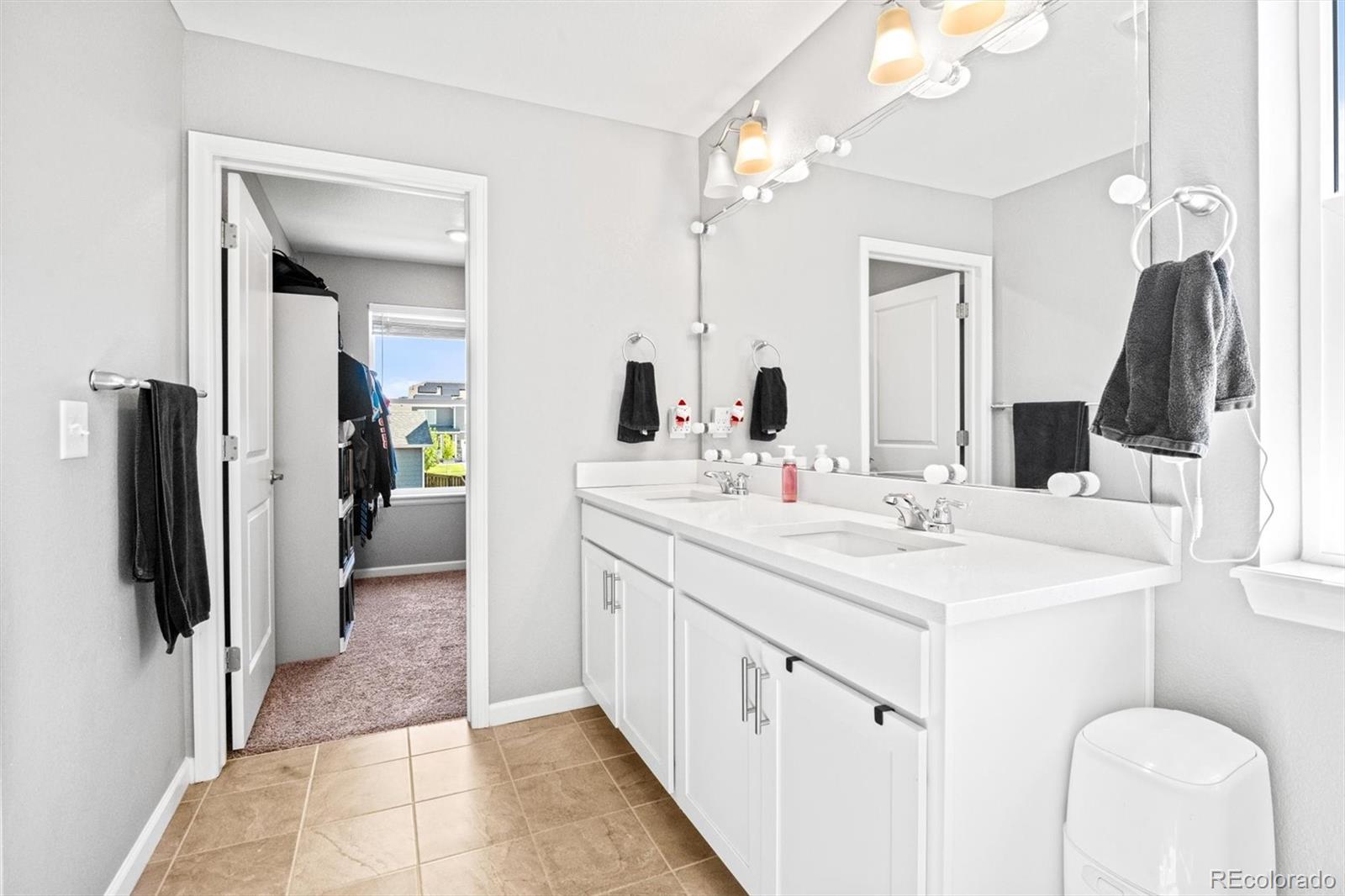 MLS Image #17 for 13962  shasta daisy street,parker, Colorado