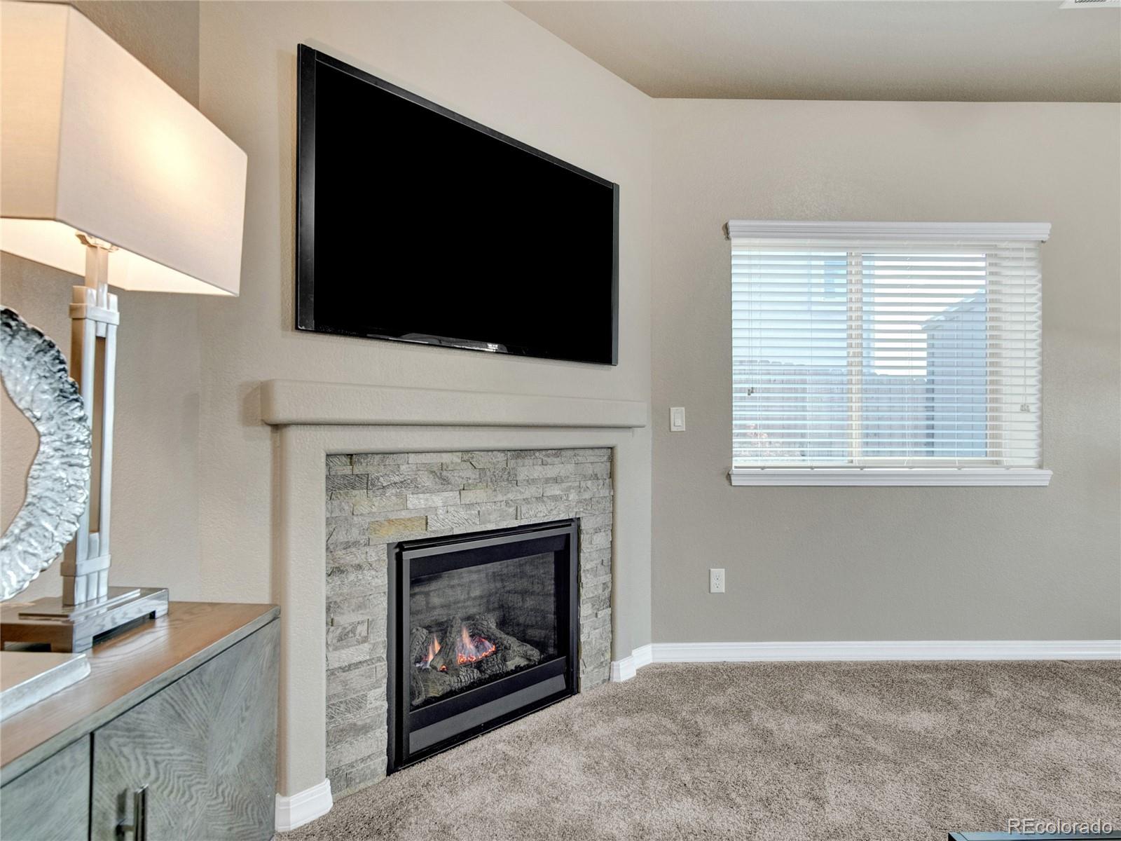 MLS Image #30 for 7090  silver buckle drive,colorado springs, Colorado