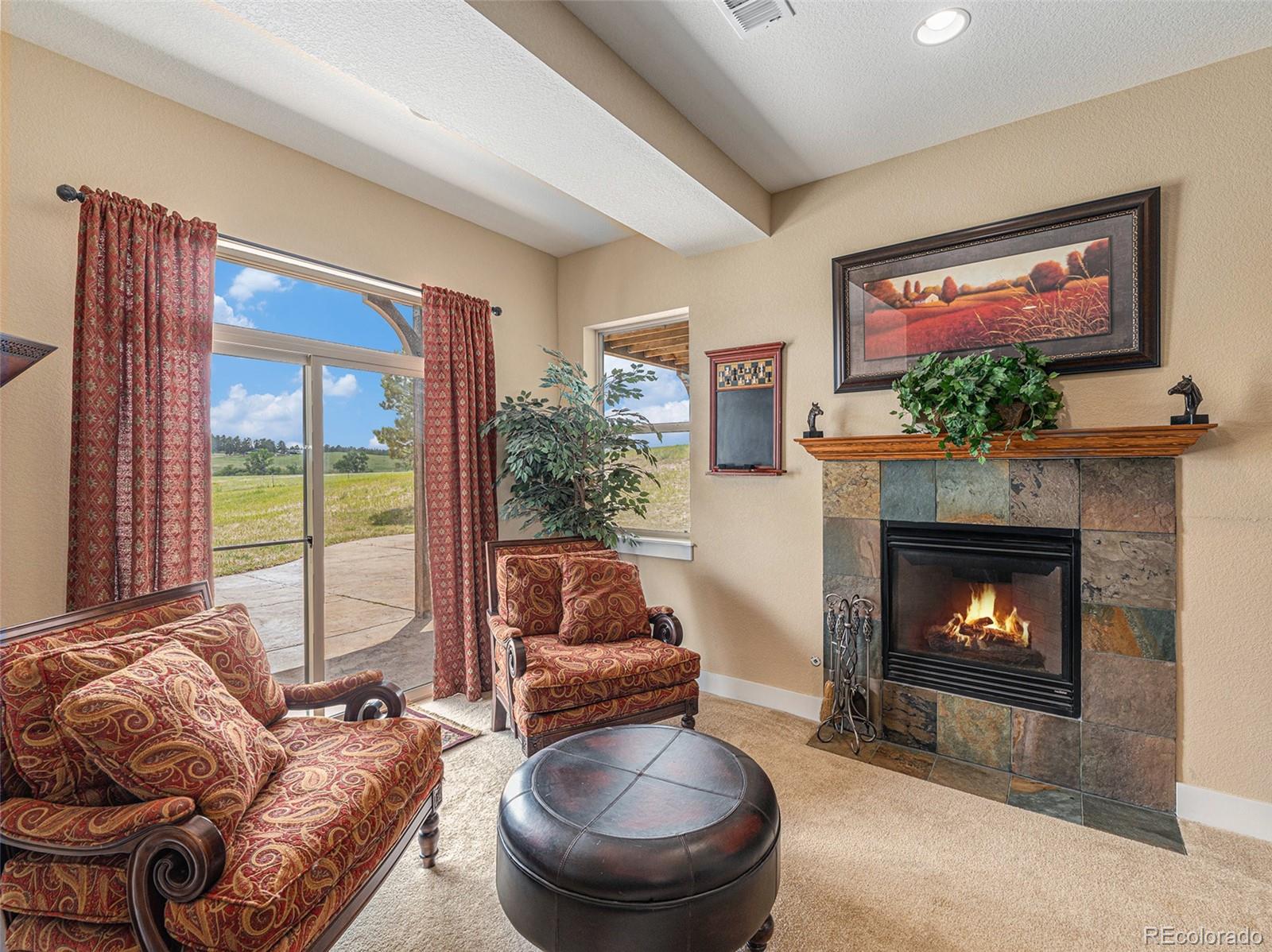 MLS Image #17 for 1660  prominence circle,elizabeth, Colorado