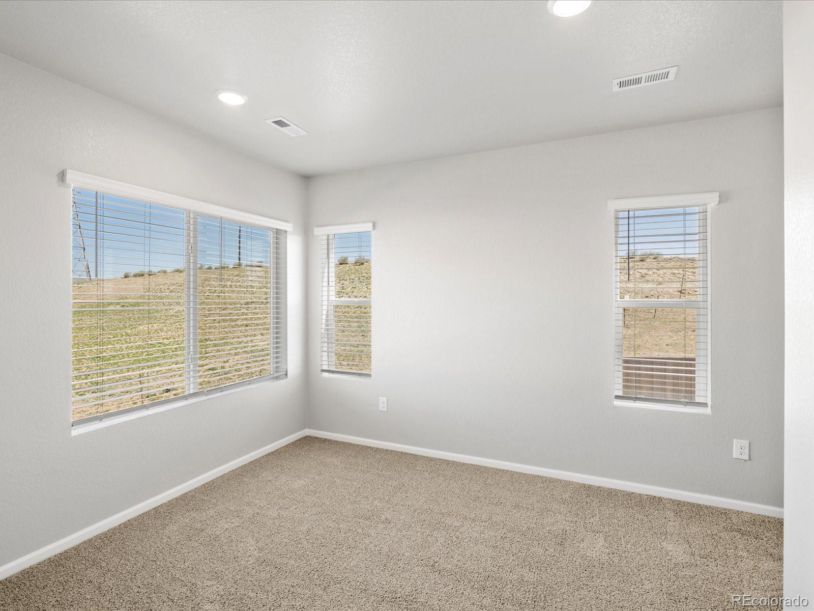 MLS Image #14 for 14451  pansy loop,morrison, Colorado