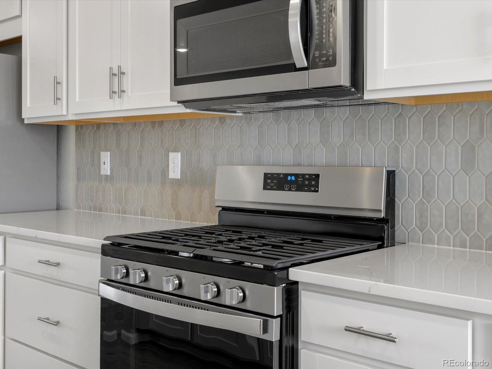 MLS Image #6 for 14451  pansy loop,morrison, Colorado
