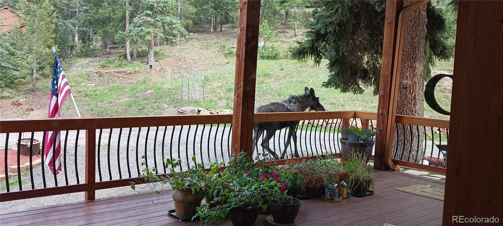 MLS Image #40 for 27652  shadow mountain drive,conifer, Colorado