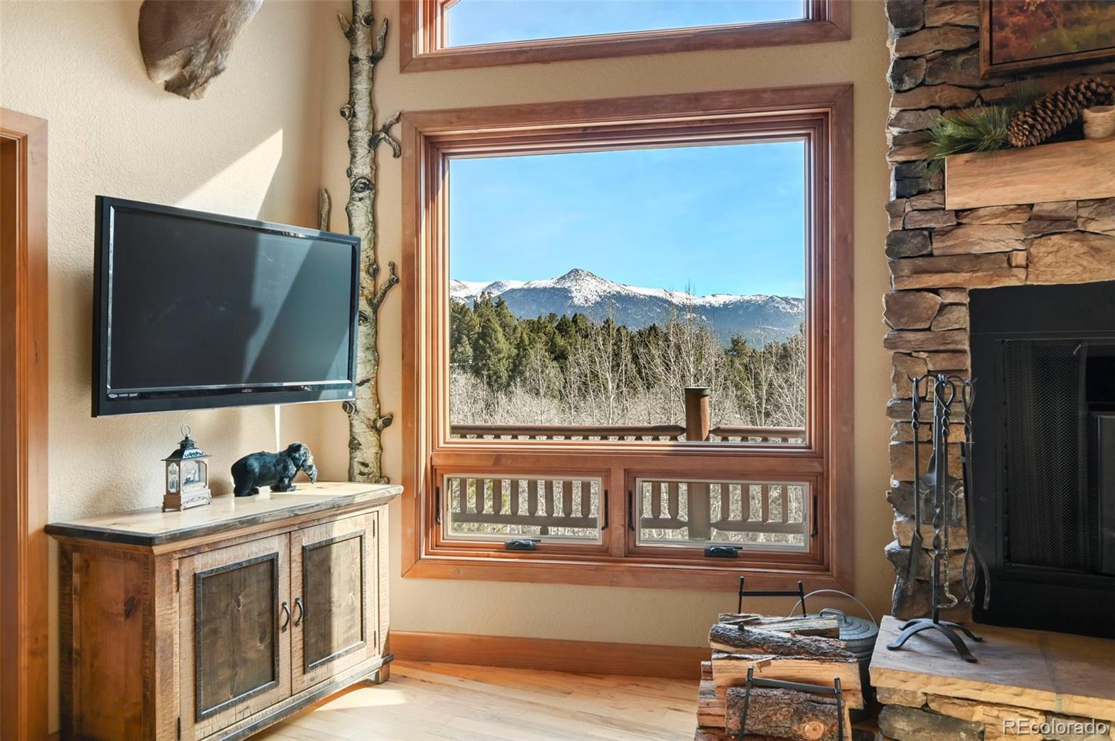MLS Image #10 for 468  paradiso road,divide, Colorado