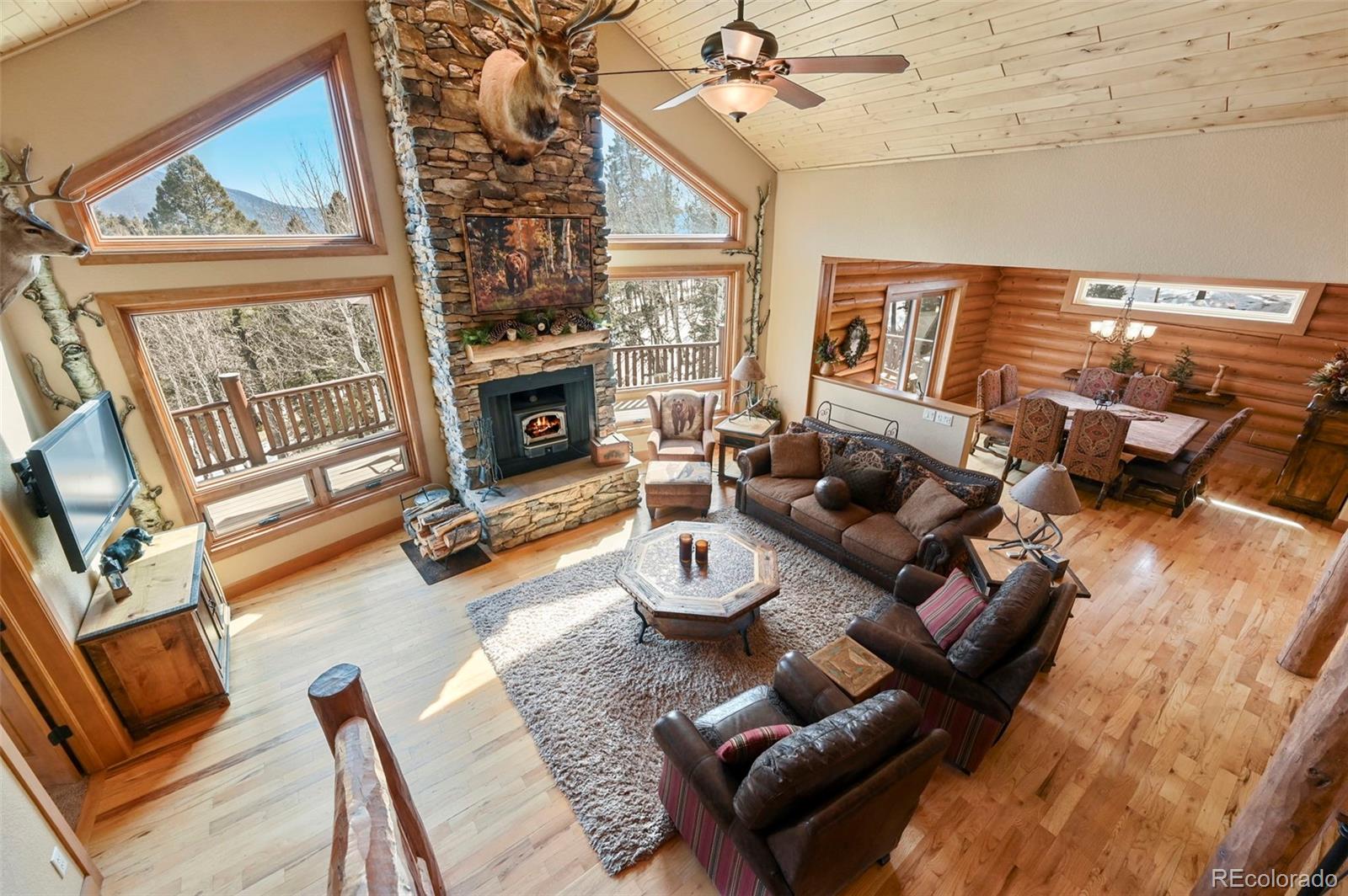 MLS Image #12 for 468  paradiso road,divide, Colorado