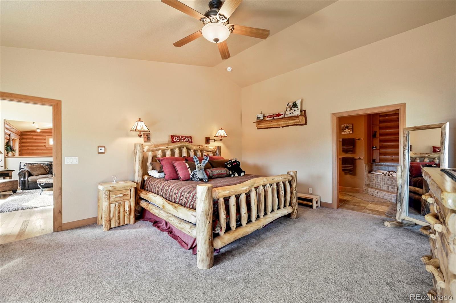 MLS Image #20 for 468  paradiso road,divide, Colorado