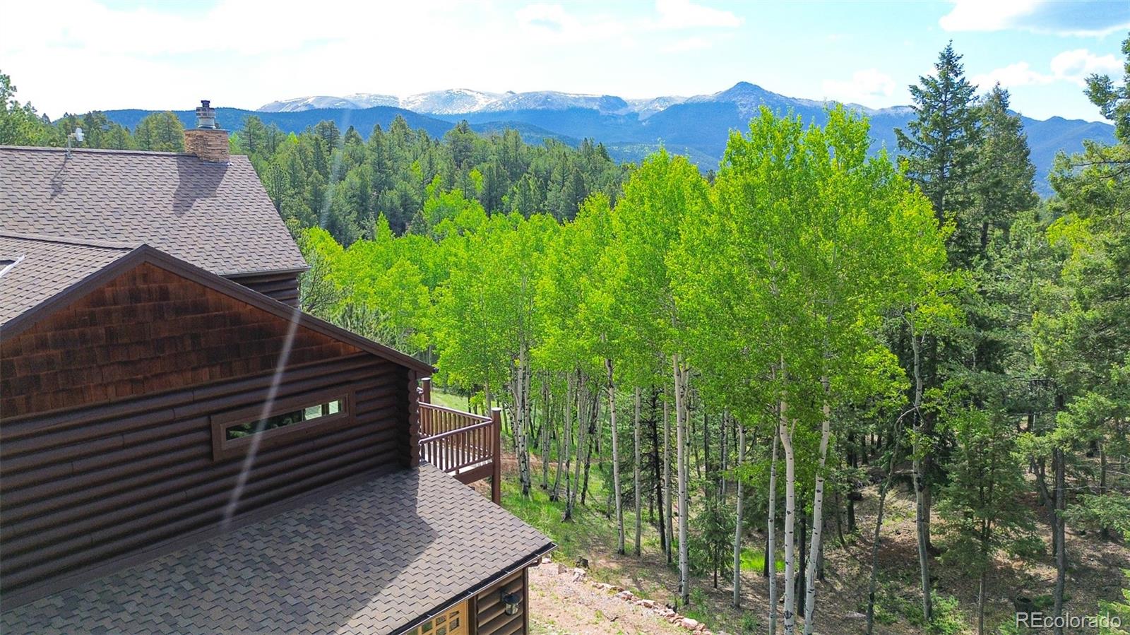 MLS Image #4 for 468  paradiso road,divide, Colorado