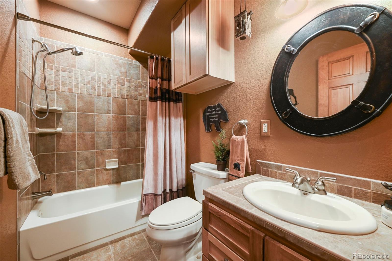 MLS Image #41 for 468  paradiso road,divide, Colorado