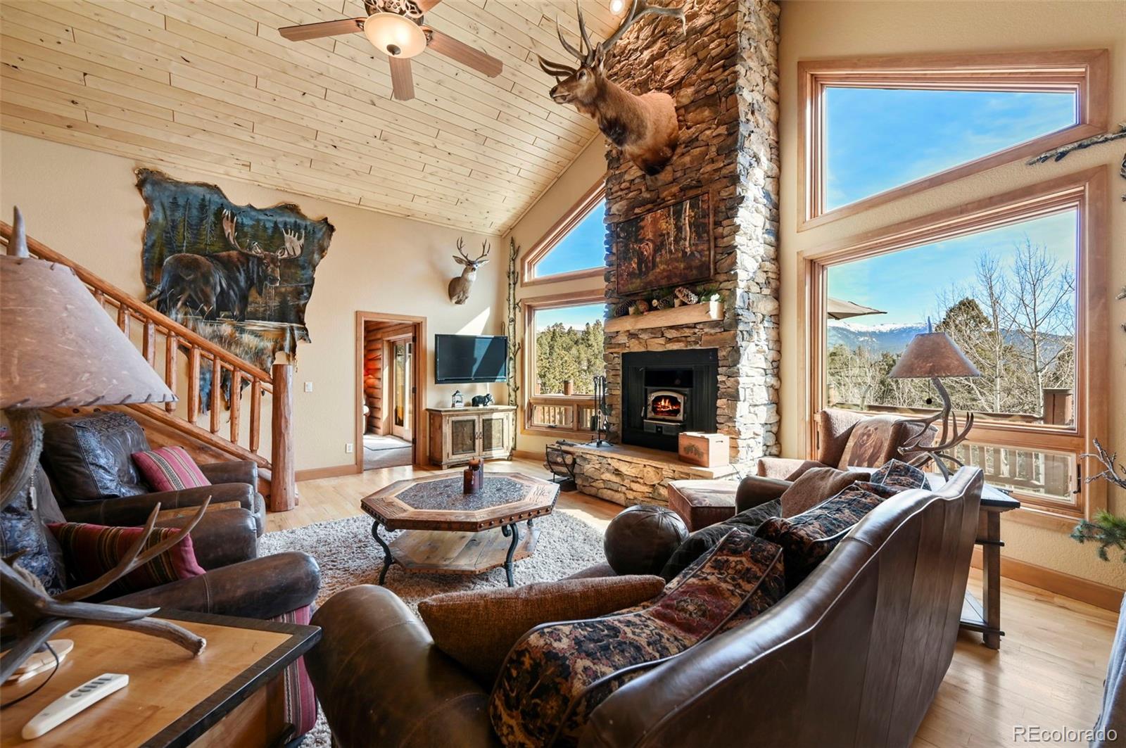 MLS Image #5 for 468  paradiso road,divide, Colorado