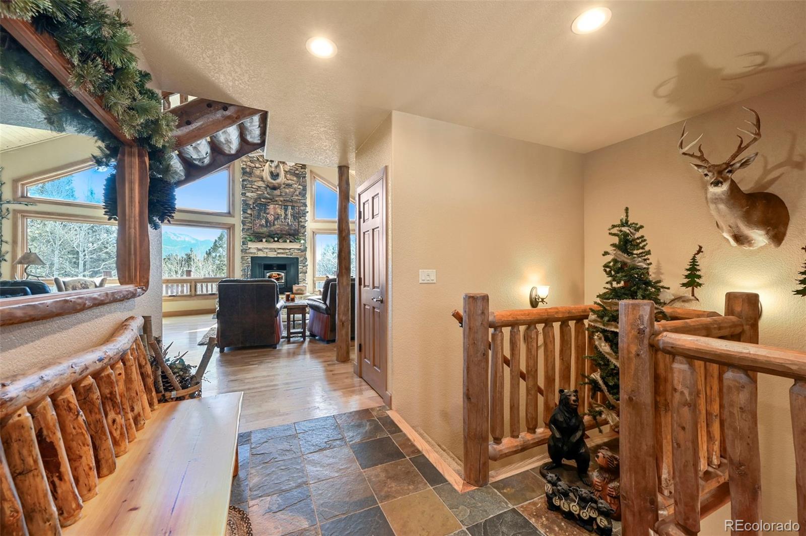 MLS Image #7 for 468  paradiso road,divide, Colorado