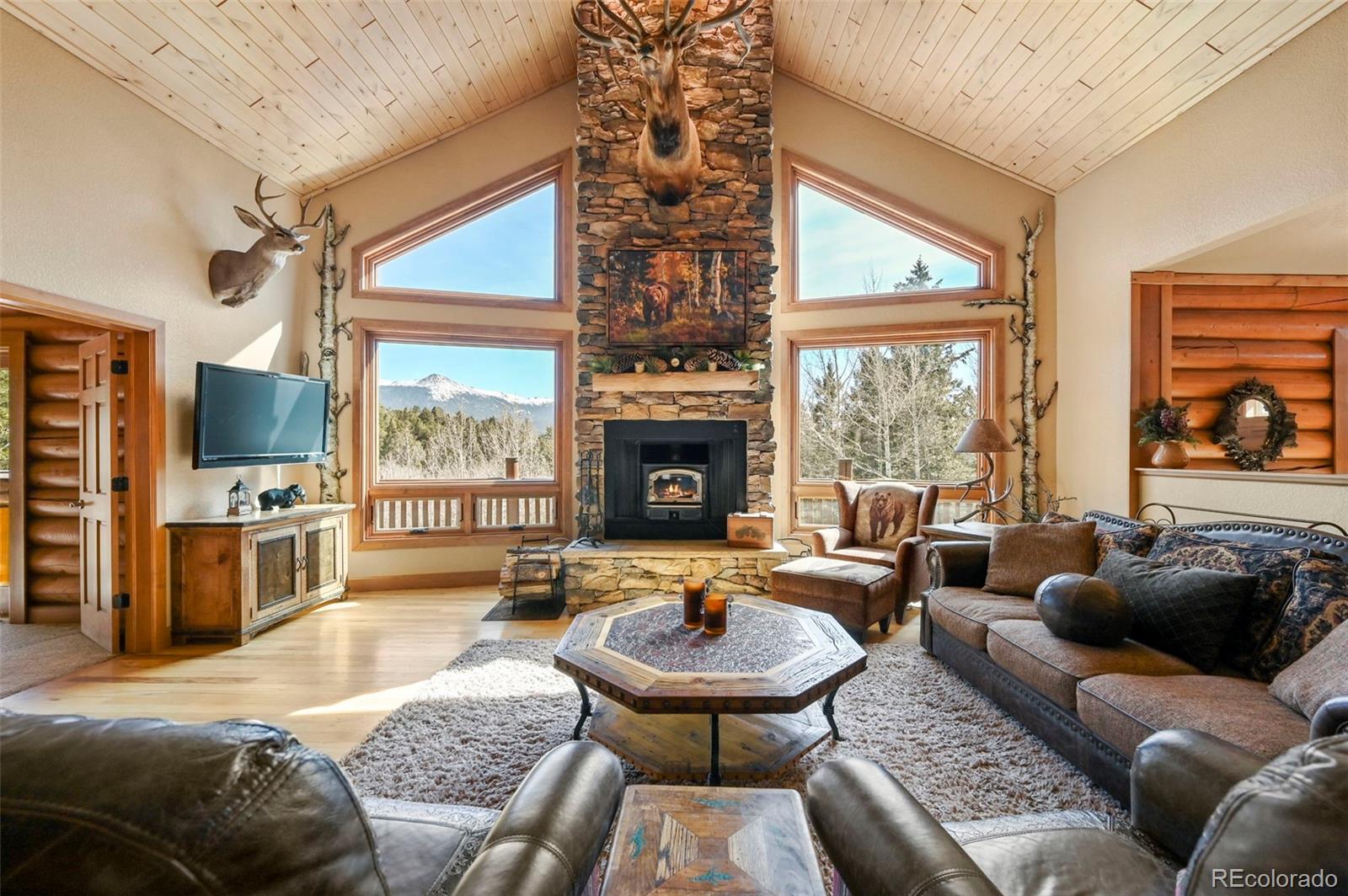 MLS Image #9 for 468  paradiso road,divide, Colorado