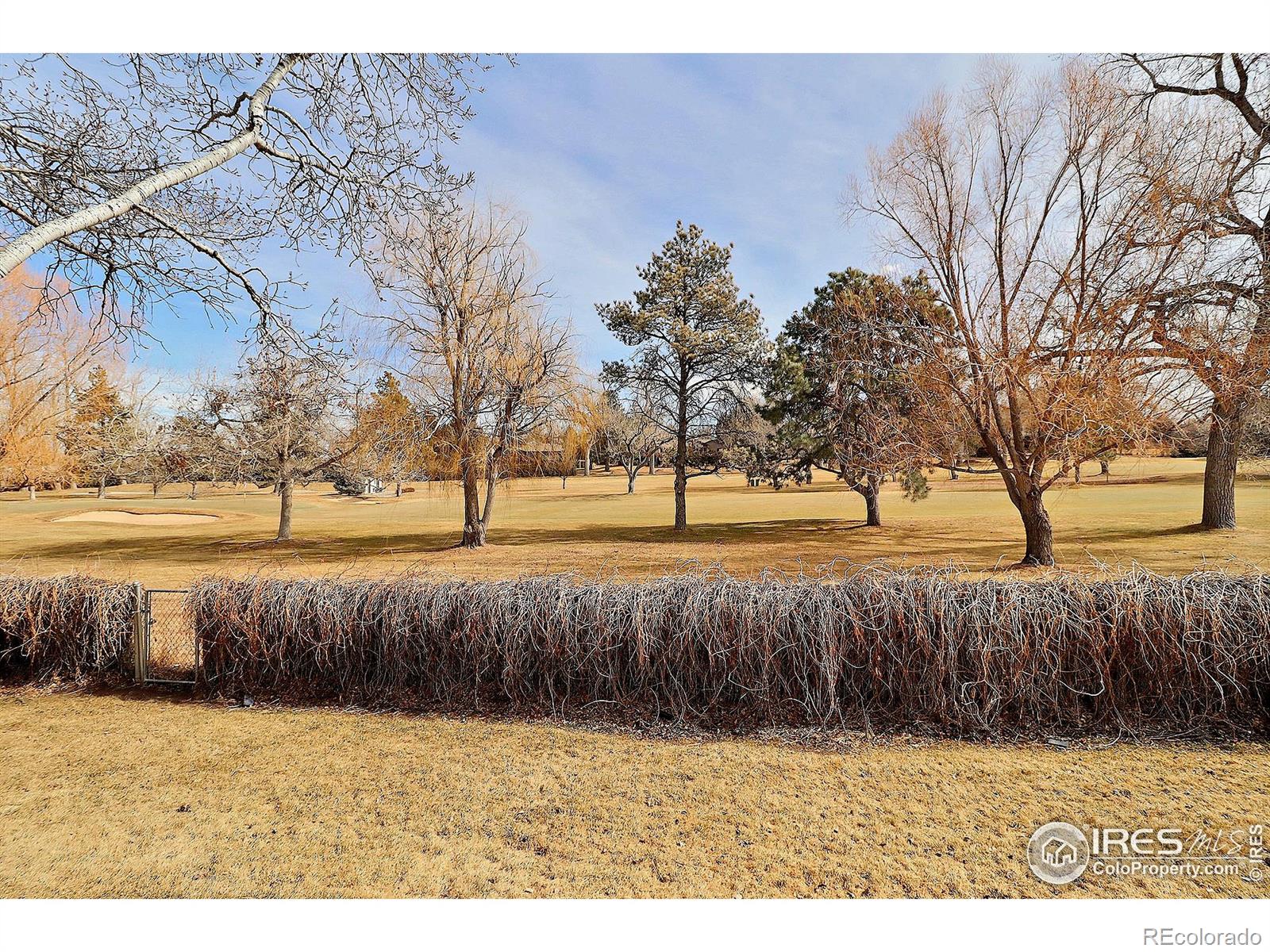 MLS Image #36 for 1024  49th avenue,greeley, Colorado