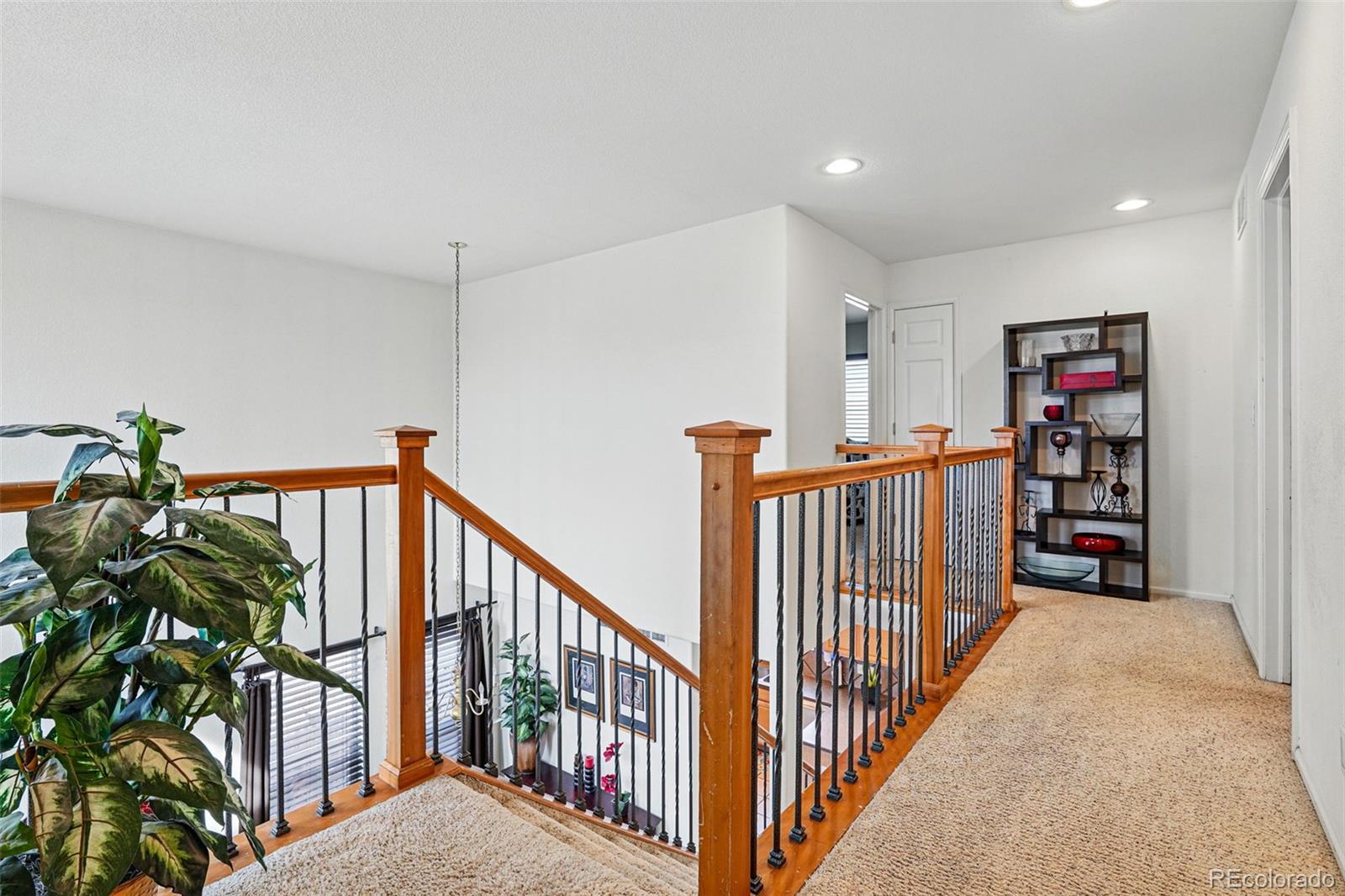 MLS Image #20 for 5556  lewiston court,denver, Colorado