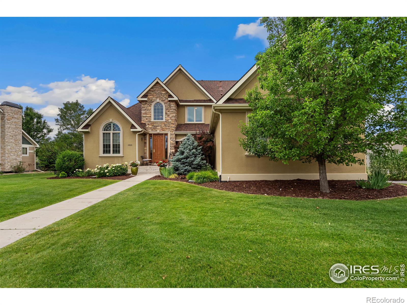 MLS Image #2 for 1929  elba court,windsor, Colorado