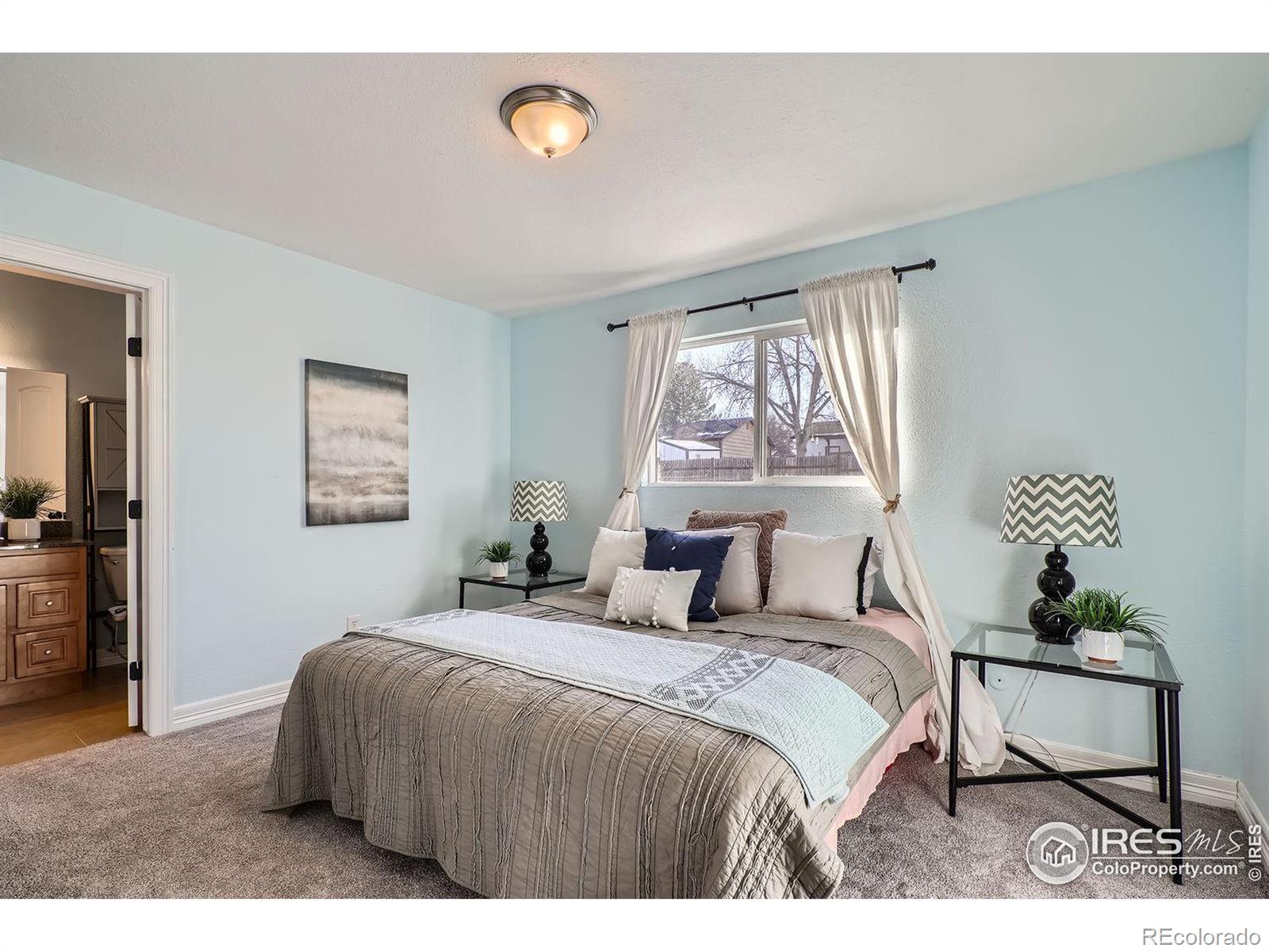 MLS Image #11 for 1737  dexter street,broomfield, Colorado