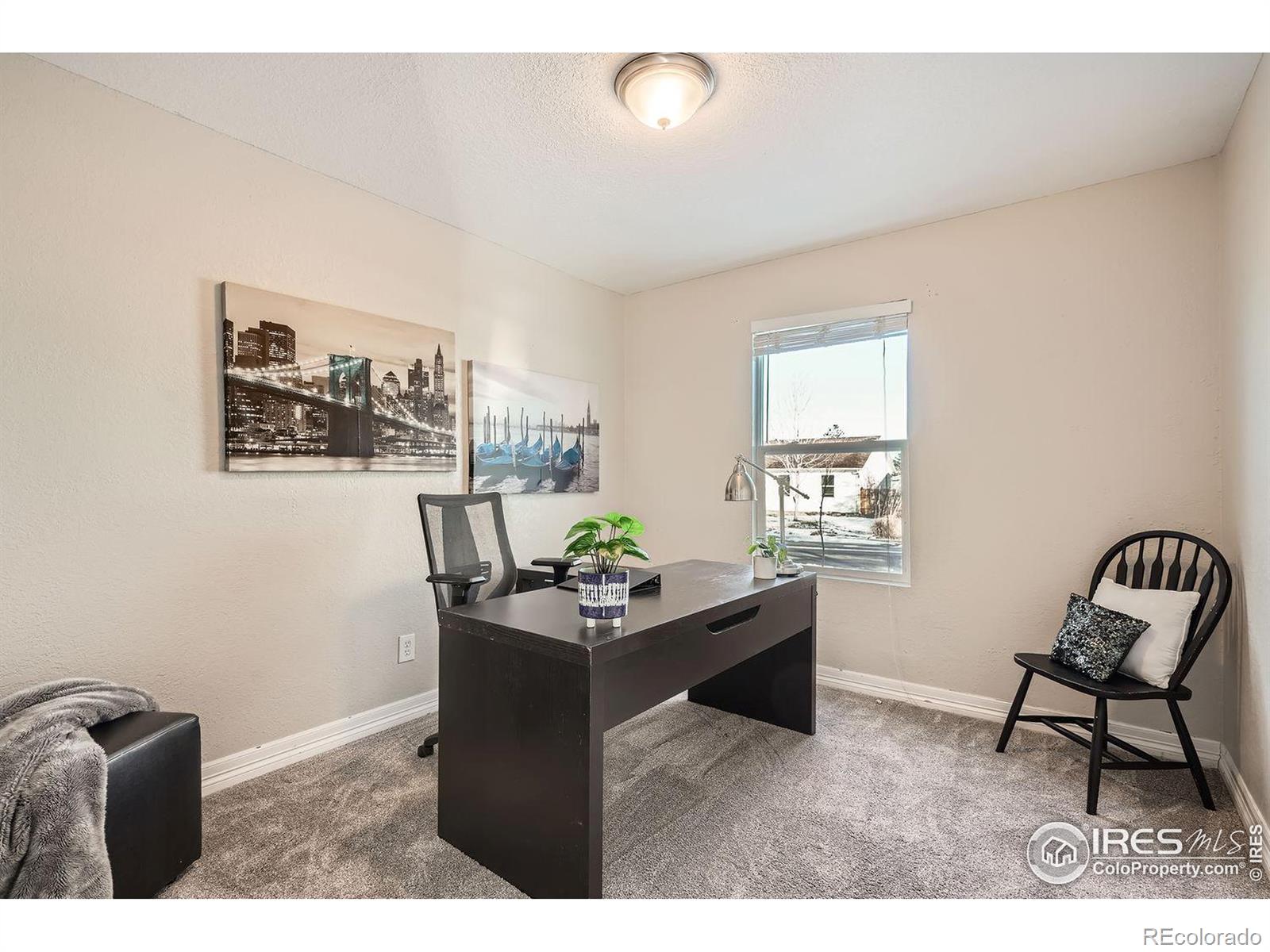 MLS Image #12 for 1737  dexter street,broomfield, Colorado